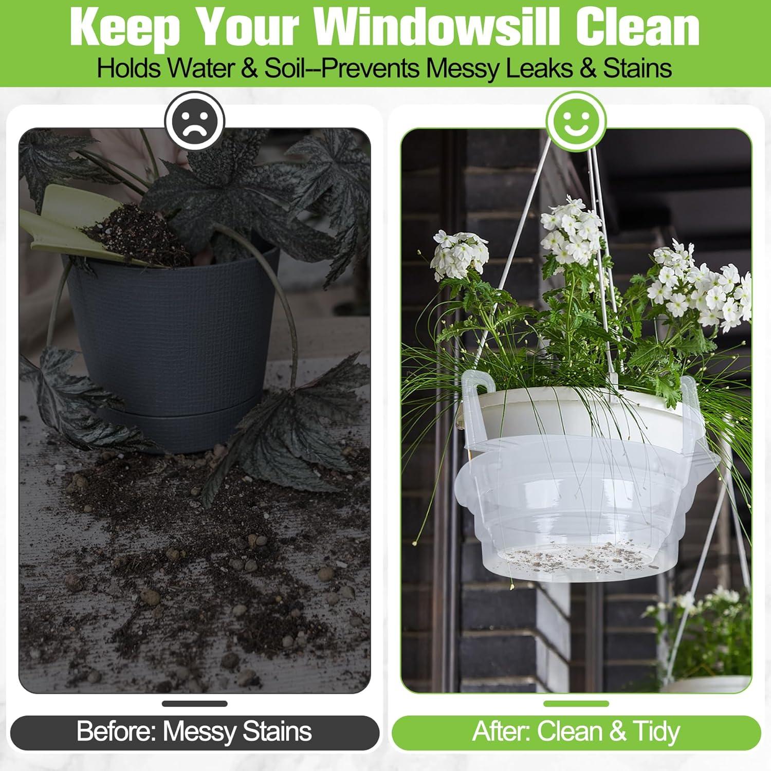 Plato de Goteo Miuwauer 20 Unidades 20 cm Redondo Transparente