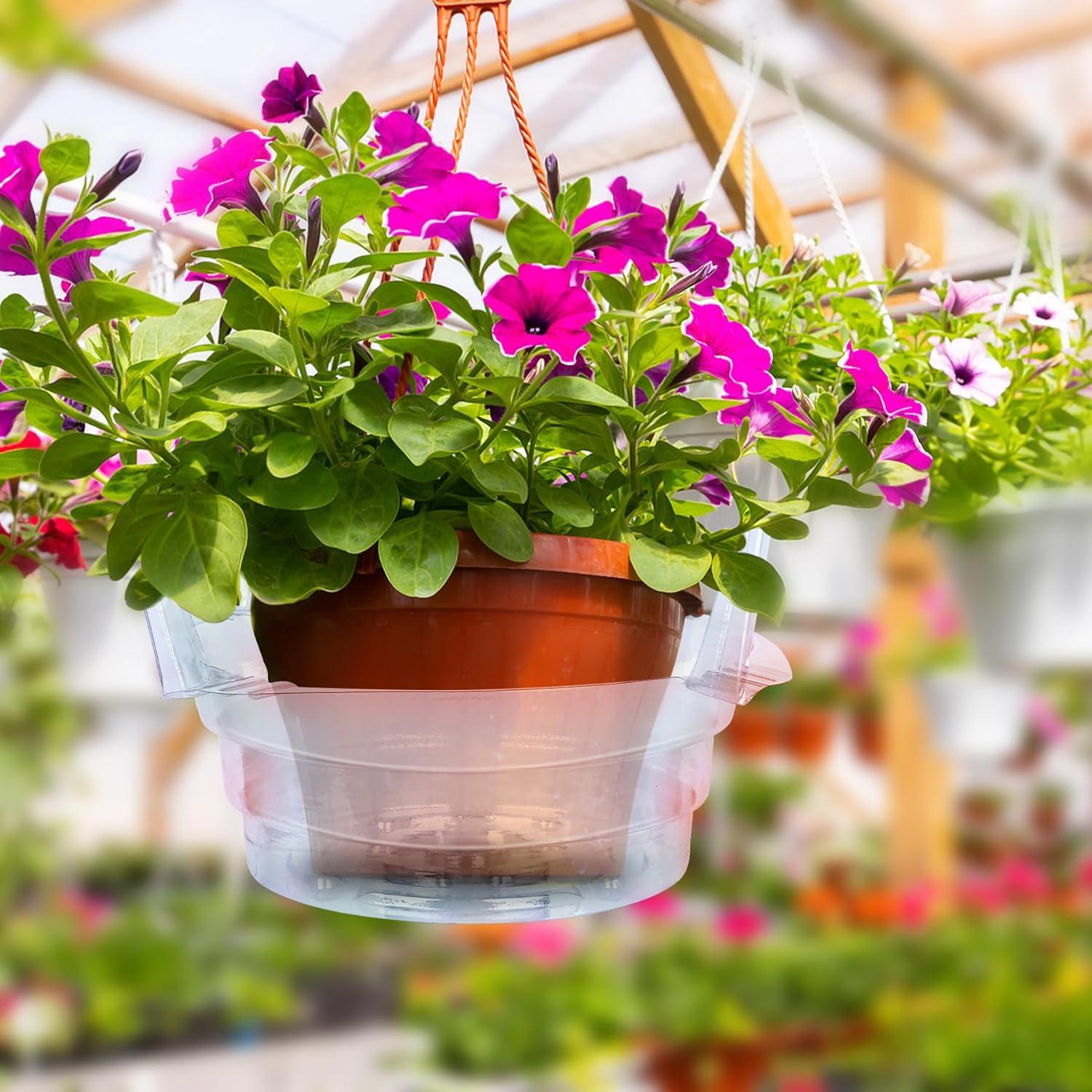 Plato de Goteo Miuwauer 20 Unidades 20 cm Redondo Transparente