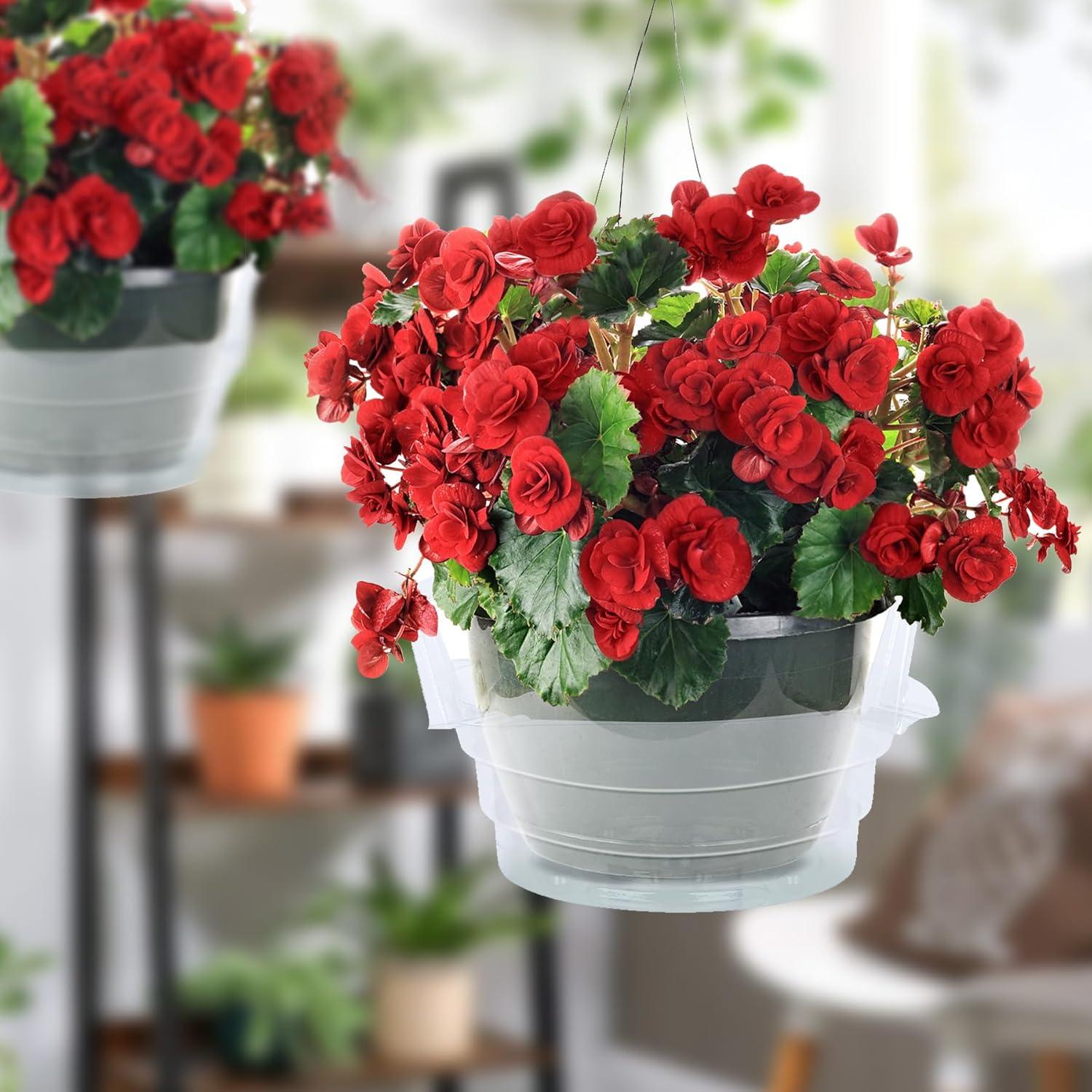 Plato de Goteo Miuwauer 20 Unidades 20 cm Redondo Transparente