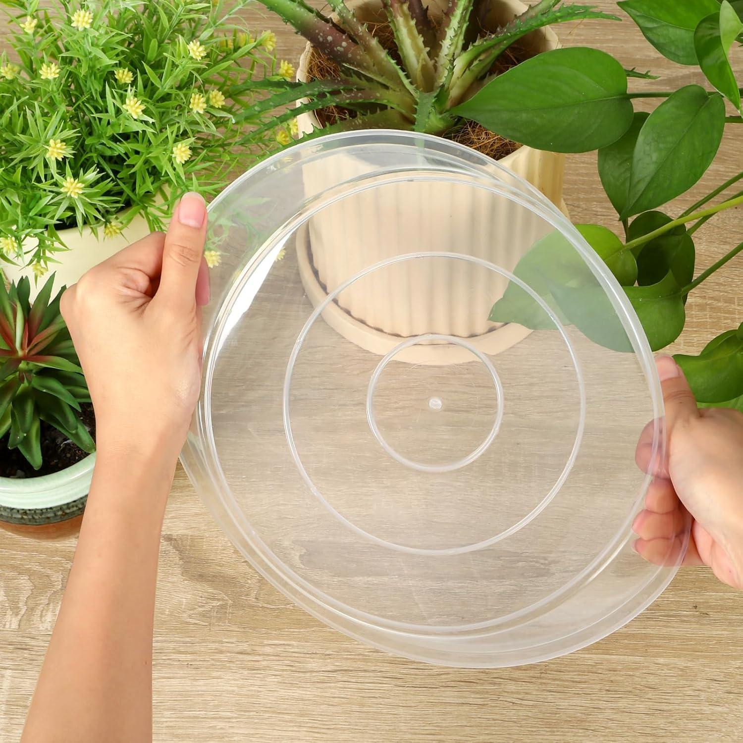 Plato para Plantas HQAUT 8 Pulgadas Paquete de 5 Transparentes