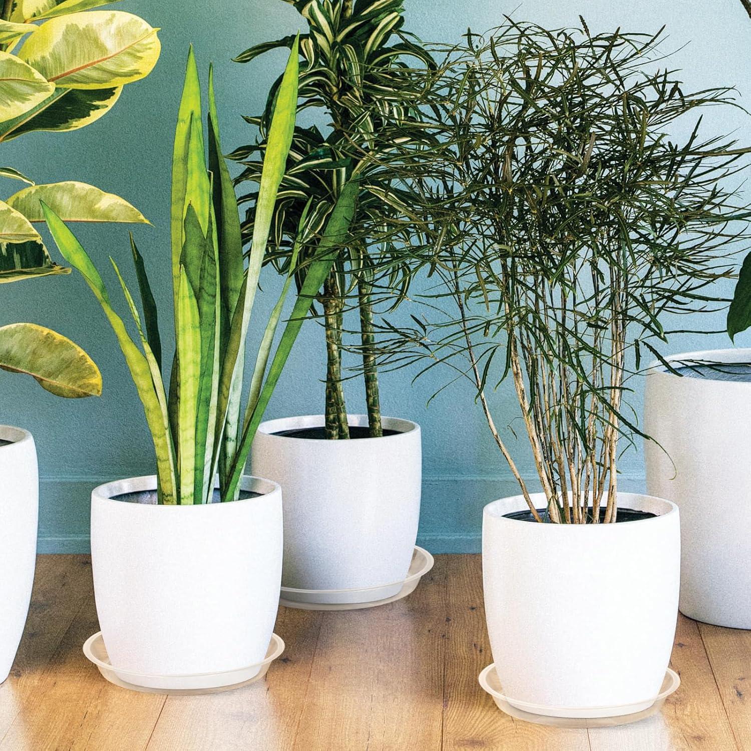 Plato para Plantas HQAUT 8 Pulgadas Paquete de 5 Transparentes