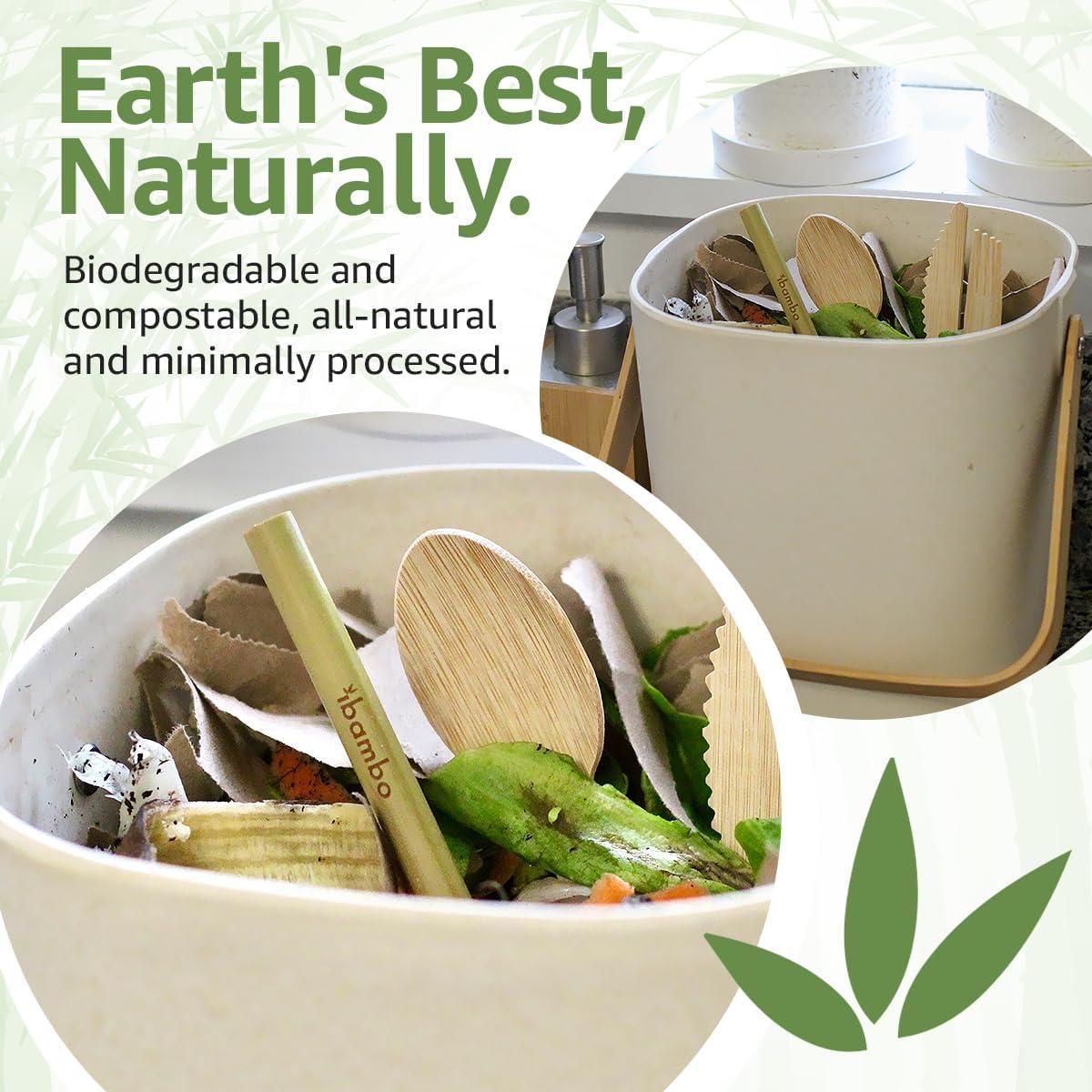 Pajitas de Bambú Jenvita 20 cm - Biodegradables y Reutilizables