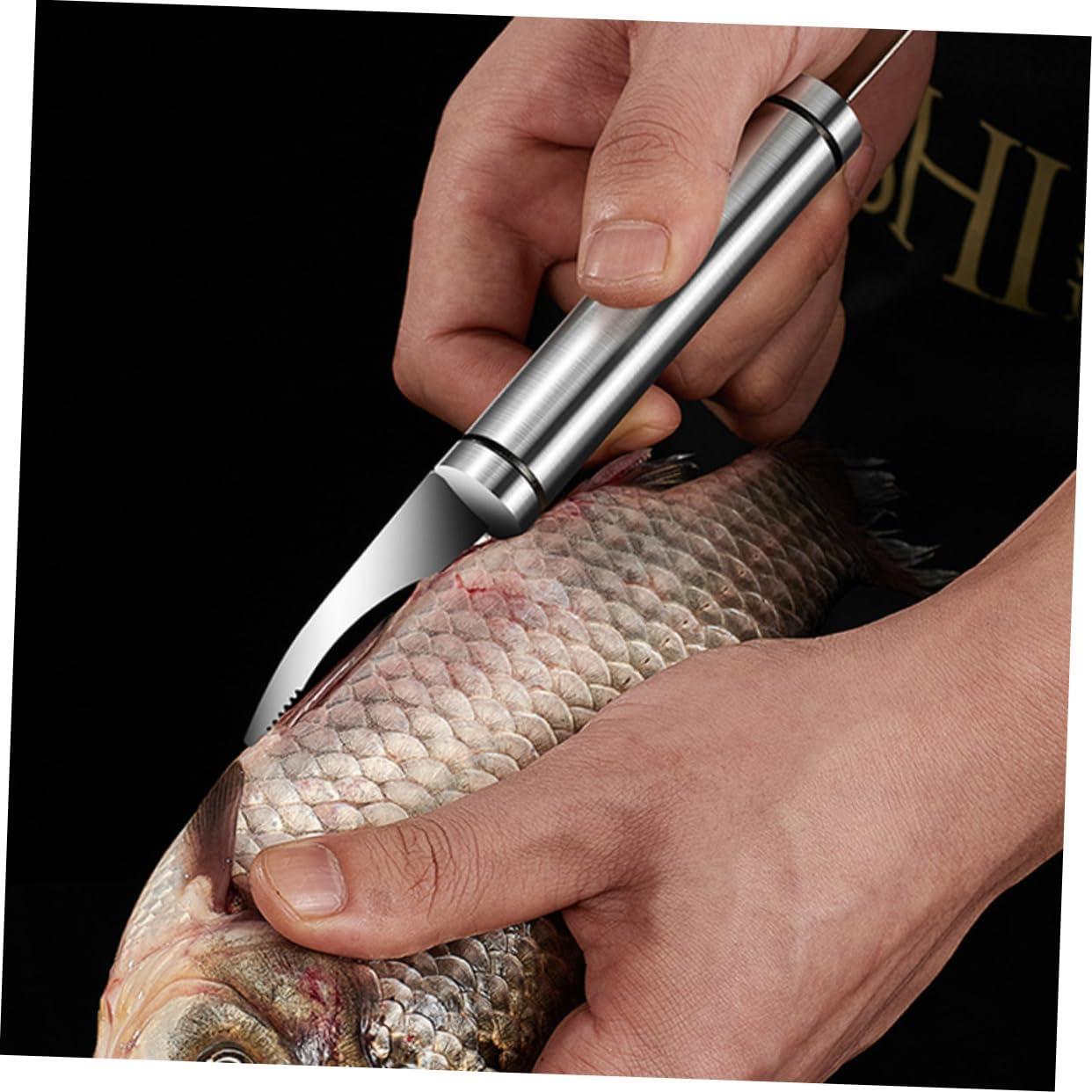 Juego de 4 Peladores de Camarones y Escalador de Pescado Homoyoyo