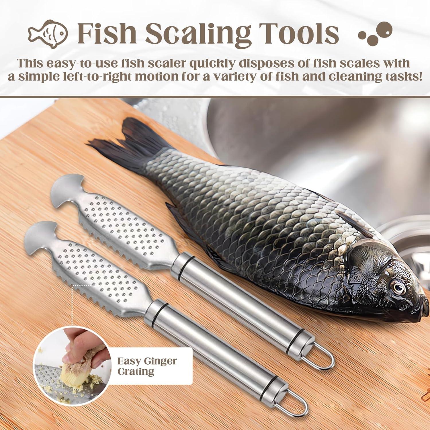 2 Herramientas de Raspar Escamas de Pescado Xanadued Acero Inoxidable