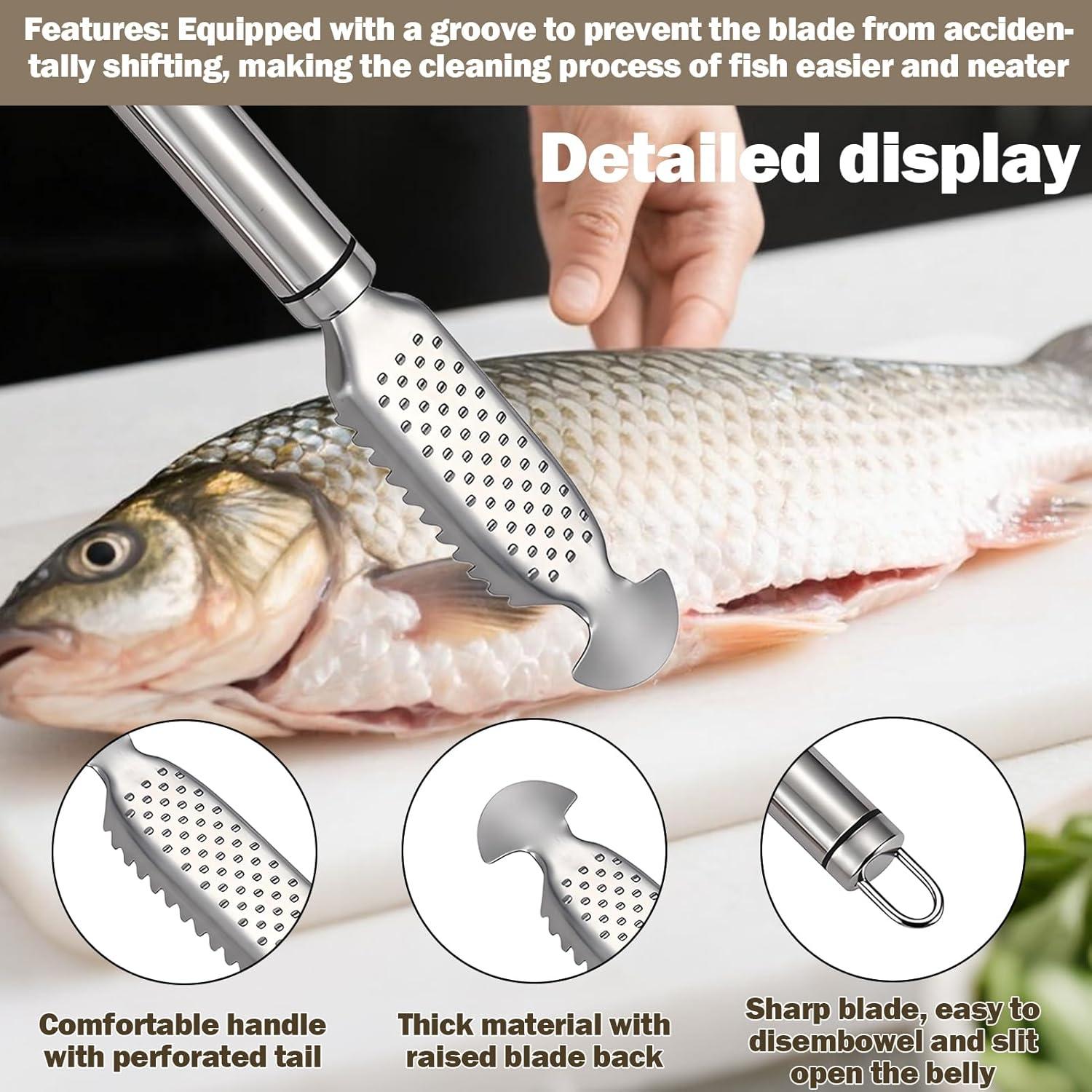 Escalador de Pescado Acero Inoxidable Gyinere 23cm