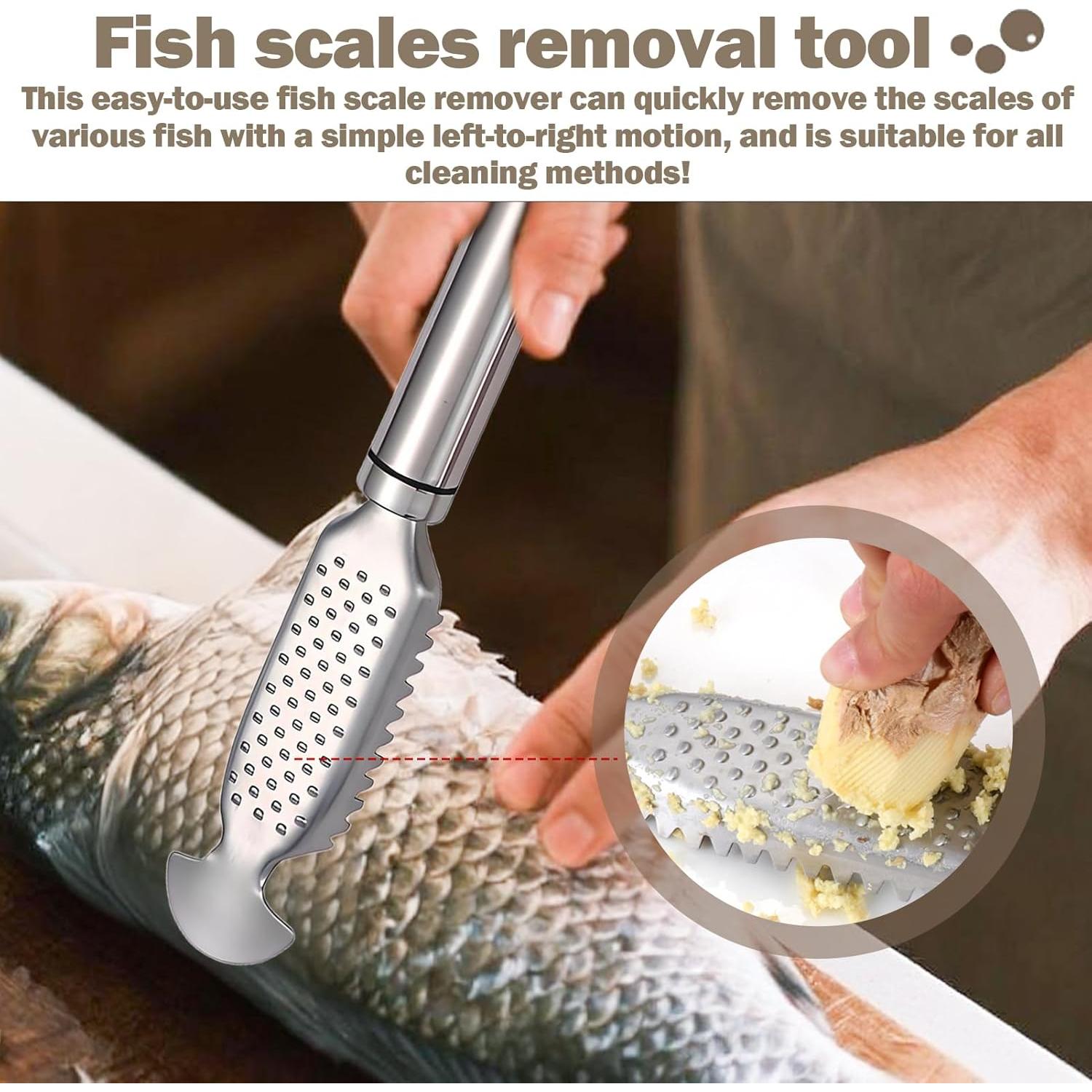 Escalador de Pescado Acero Inoxidable Gyinere 23cm