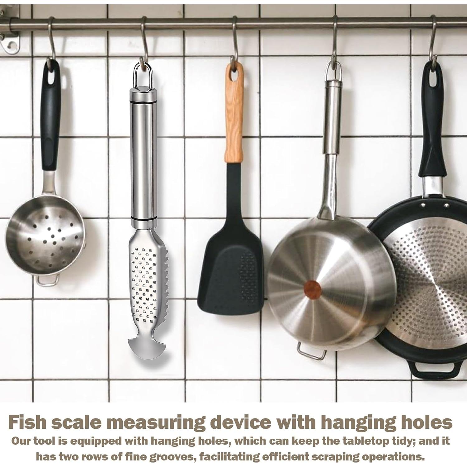 Escalador de Pescado Acero Inoxidable Gyinere 23cm