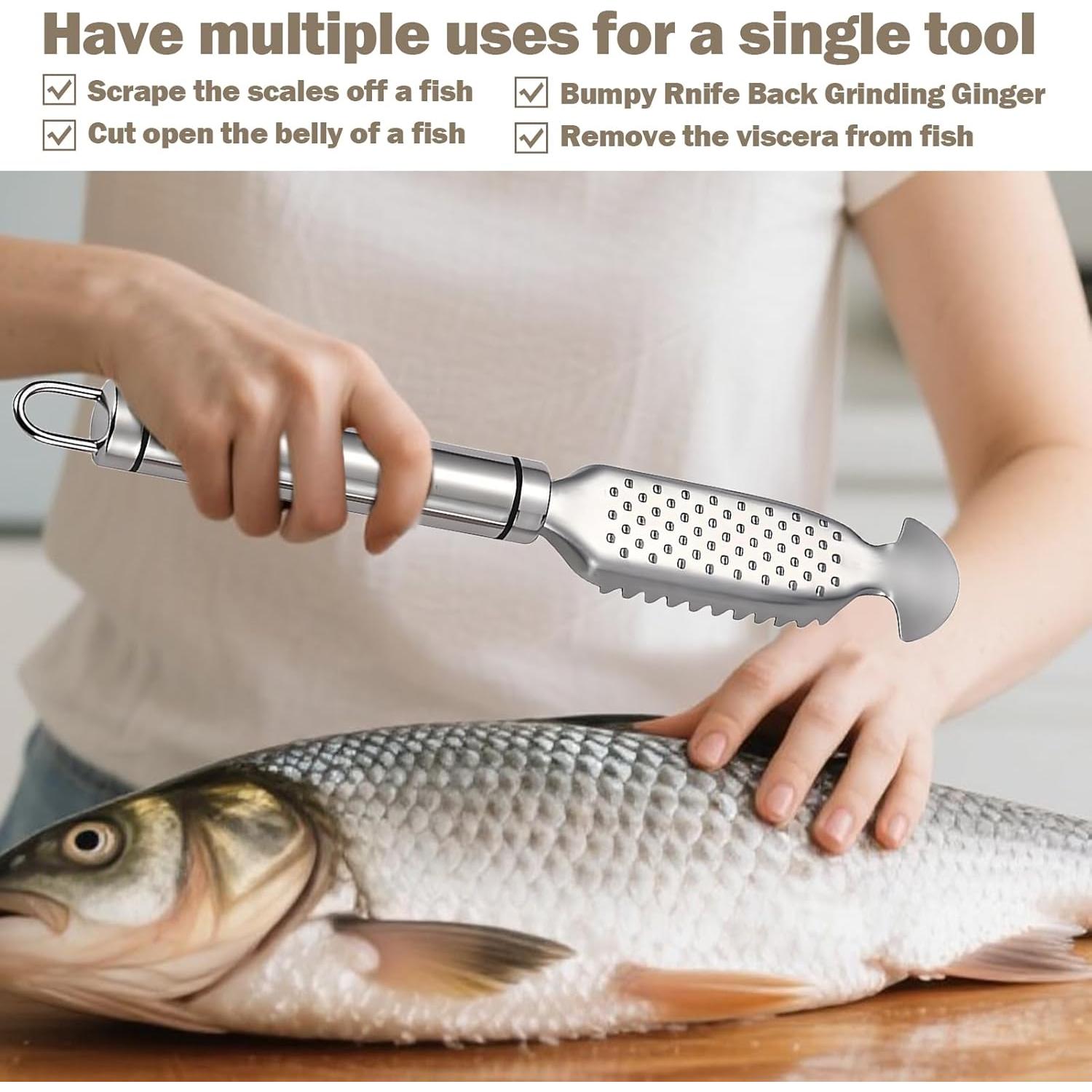 Escalador de Pescado Acero Inoxidable Gyinere 23cm