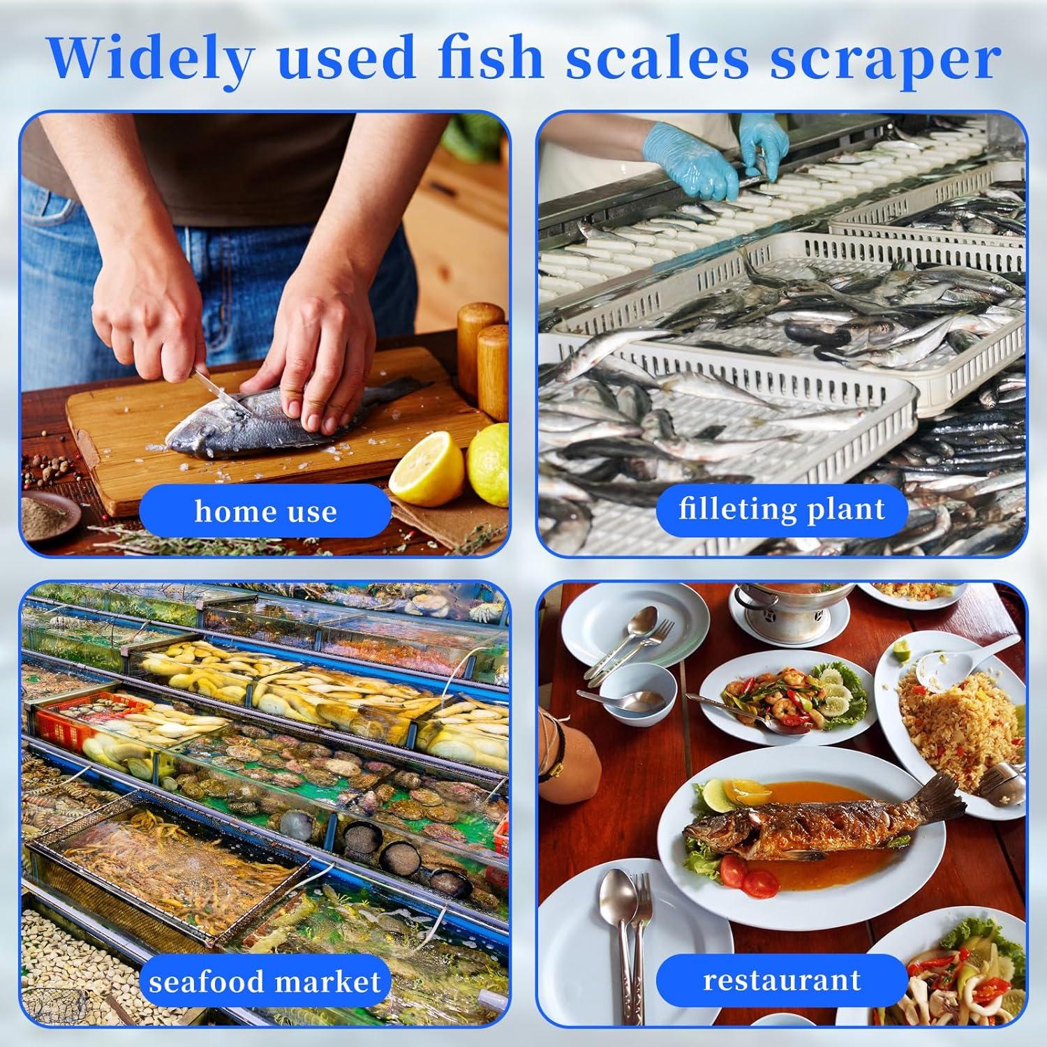 Juego de 4 Removedores de Escamas de Pescado Asofelk