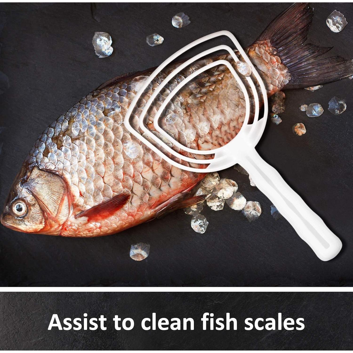 Mudder 8 Piezas Raspadores de Hueso y Escamas de Pescado