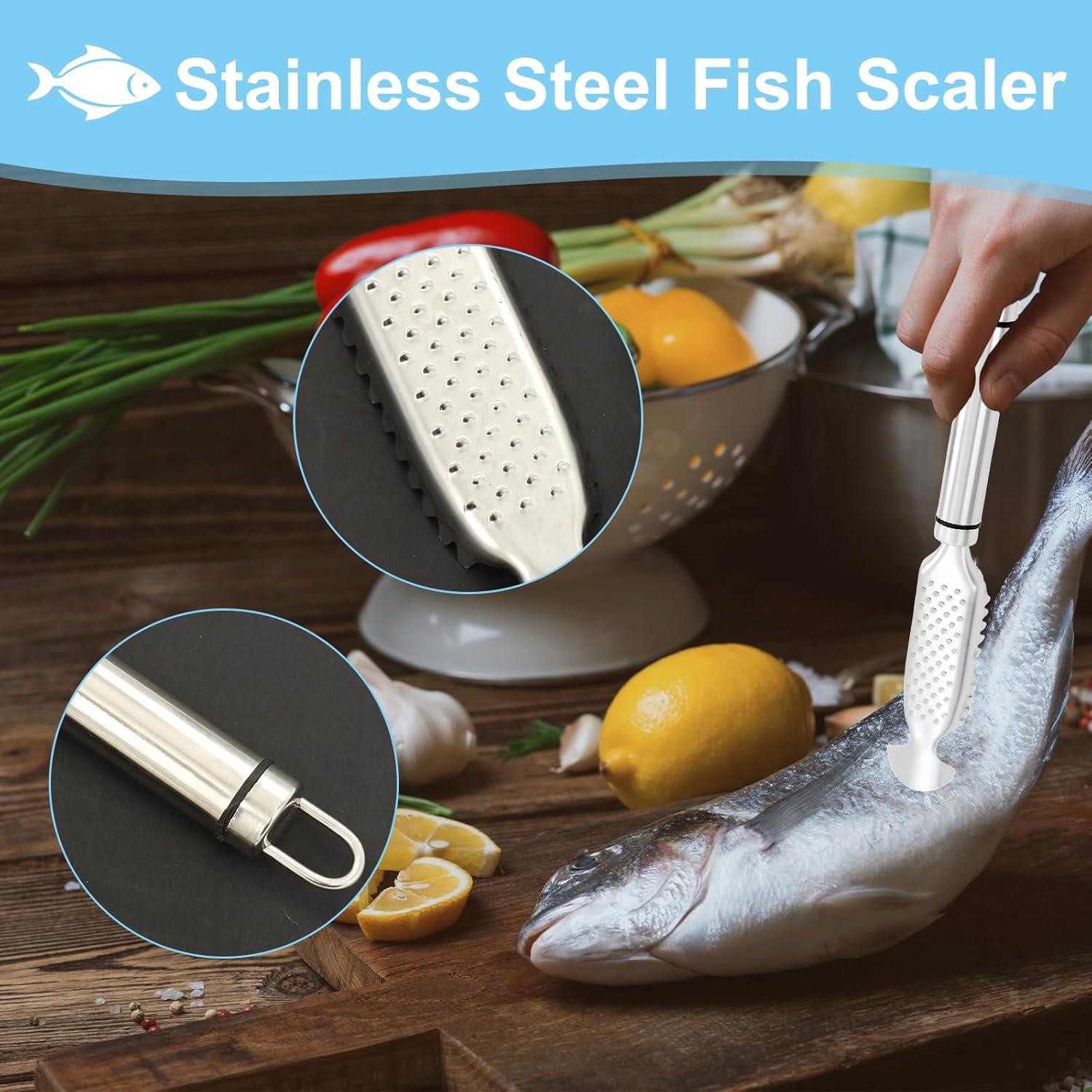 Removedor de Escamas de Pescado KURTOPLLY Acero Inoxidable 2 Piezas