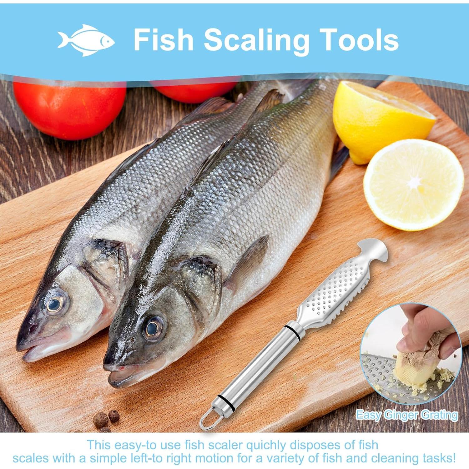 Removedor de Escamas de Pescado KURTOPLLY Acero Inoxidable 2 Piezas