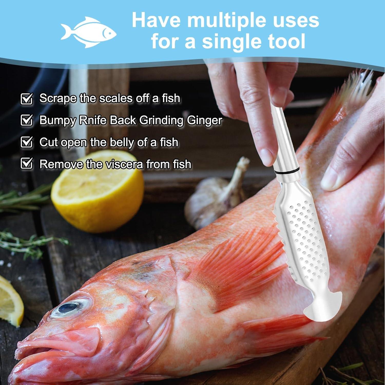 Removedor de Escamas de Pescado KURTOPLLY Acero Inoxidable 2 Piezas