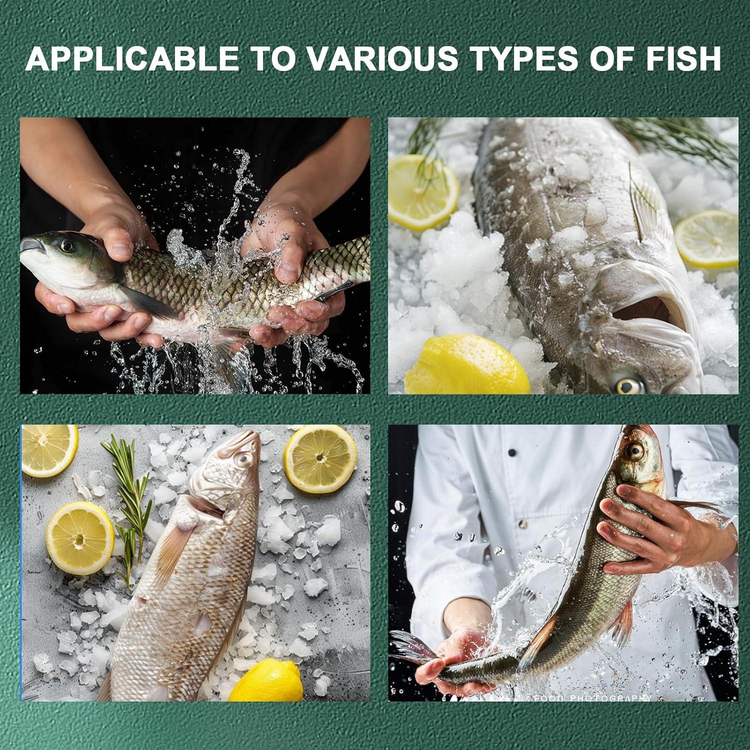 Juego de 2PC Removedor de Escamas de Pescado OMASUNB