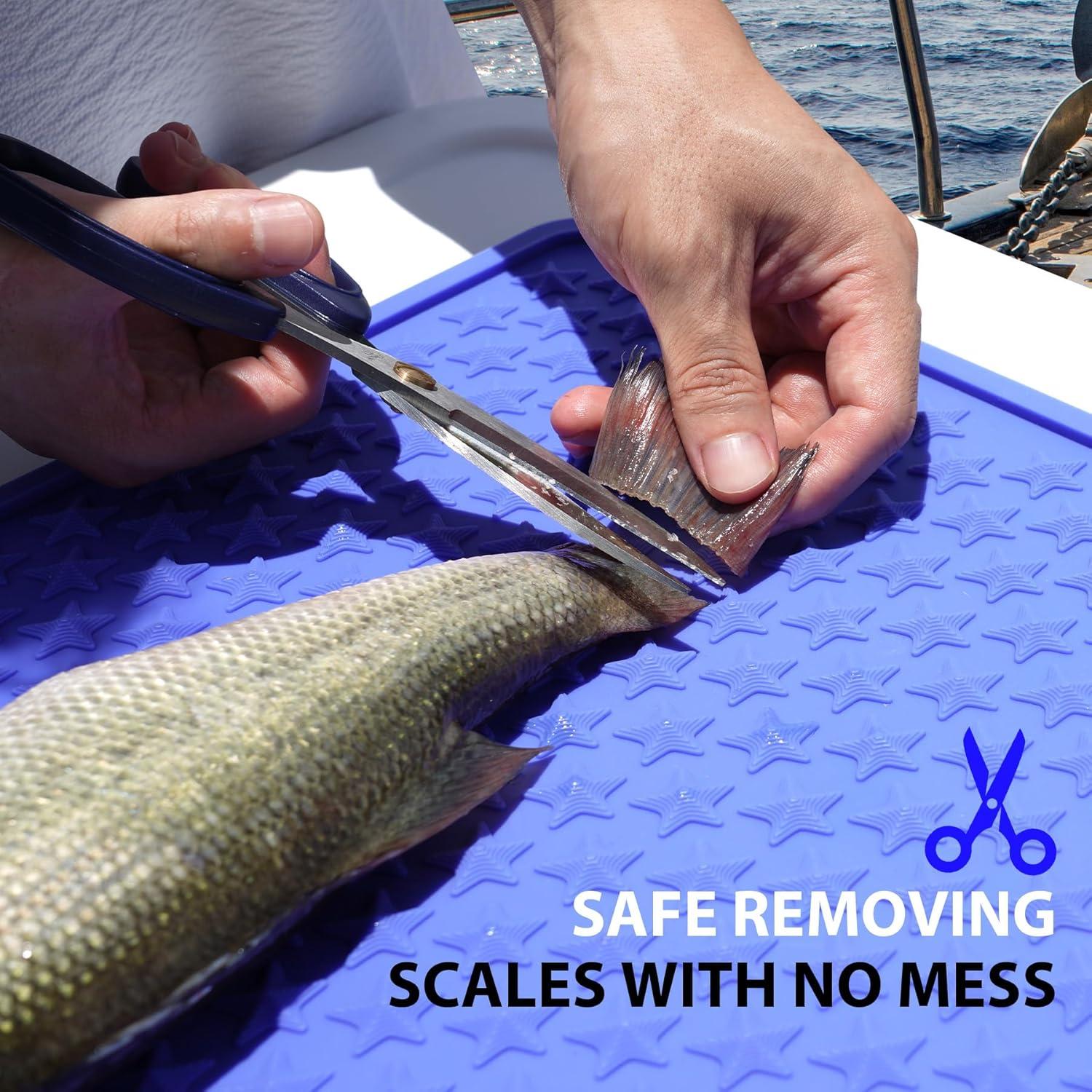 Kit de limpieza de pescado AQUANESIA 4 piezas acero inoxidable