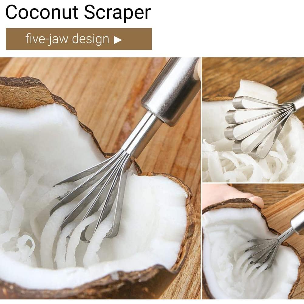 Raspador de Coco TOPINCN Acero Inoxidable 19.5x3.5cm Manual