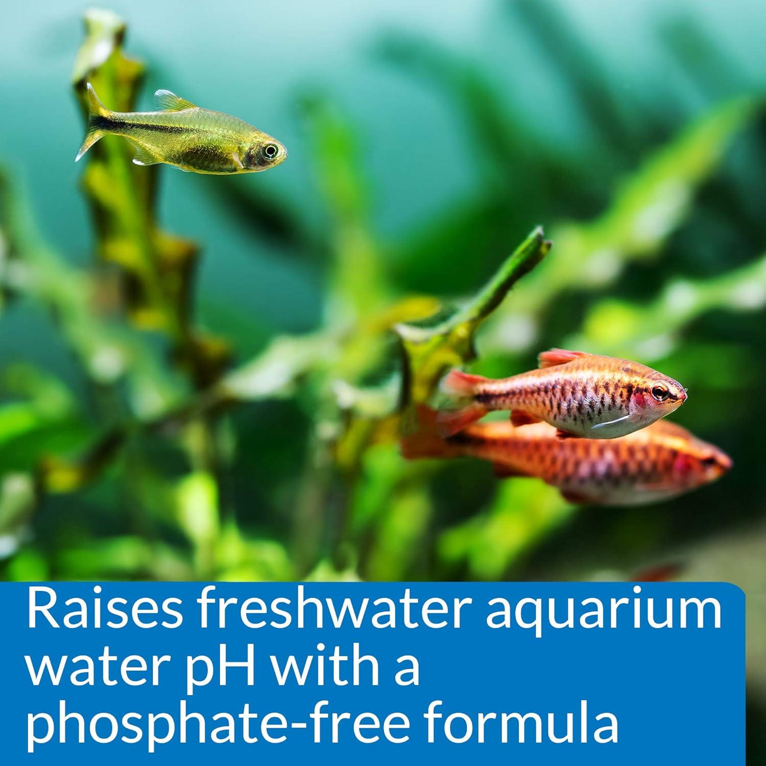 API pH UP 113.4 ml - Solución para Aumentar pH Acuario Dulce