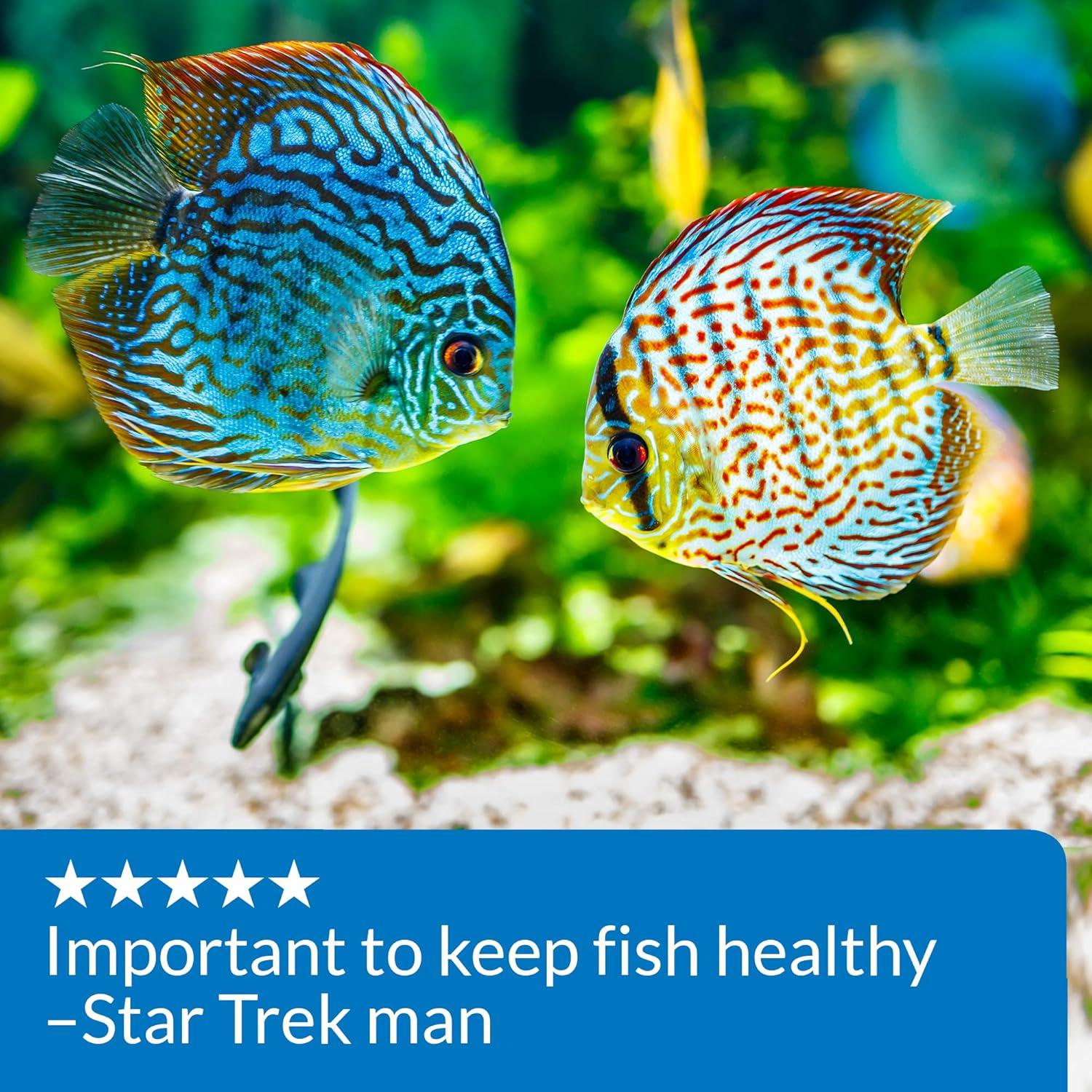 API pH UP 113.4 ml - Solución para Aumentar pH Acuario Dulce