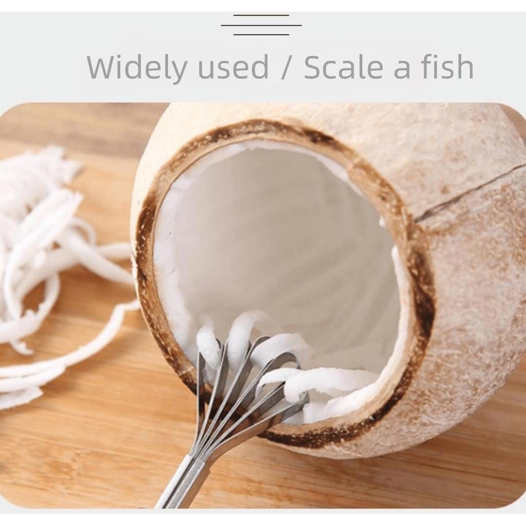 Rallador de Coco AANAN de Acero Inoxidable 19.5 cm