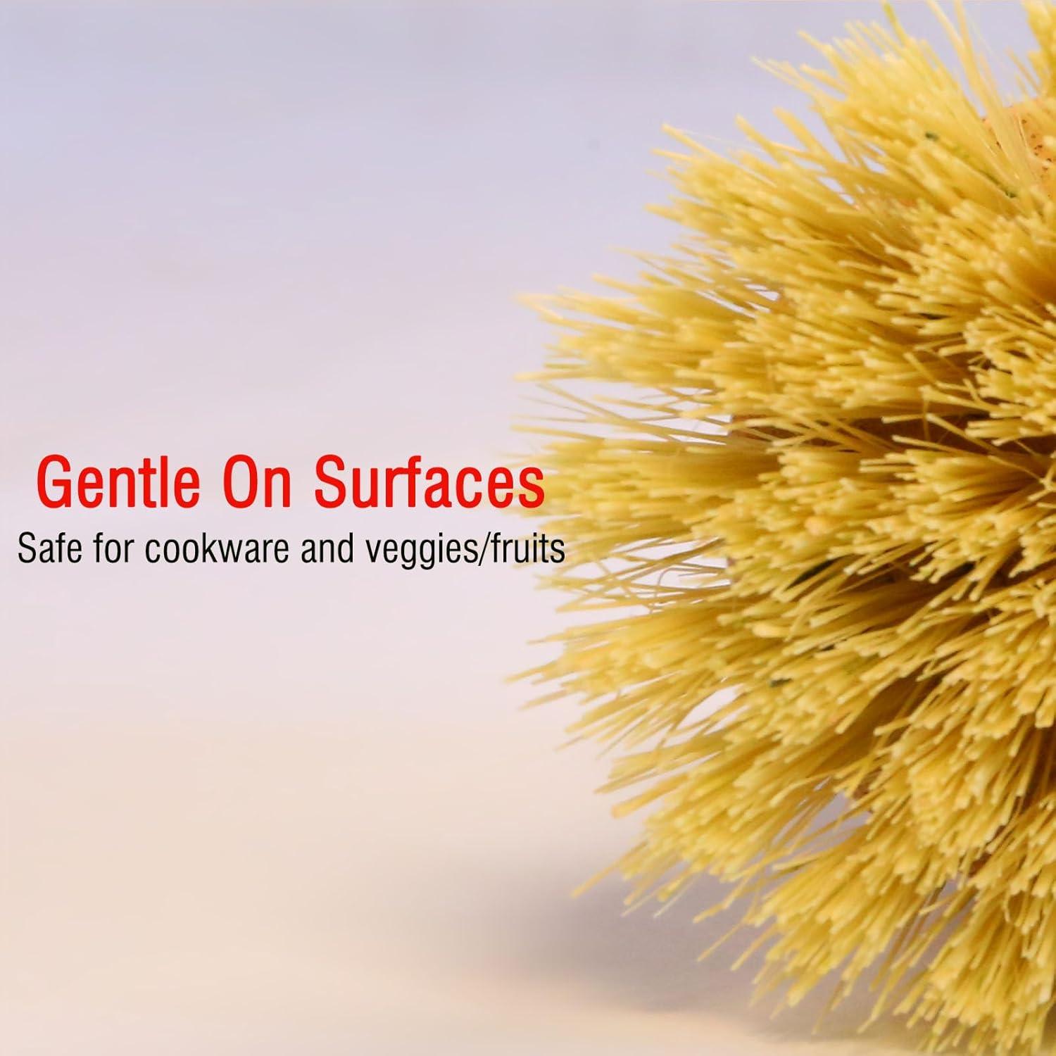 Juego de Cepillos de Cocina JouiiSiYa con Mango de Bambú y Sisal