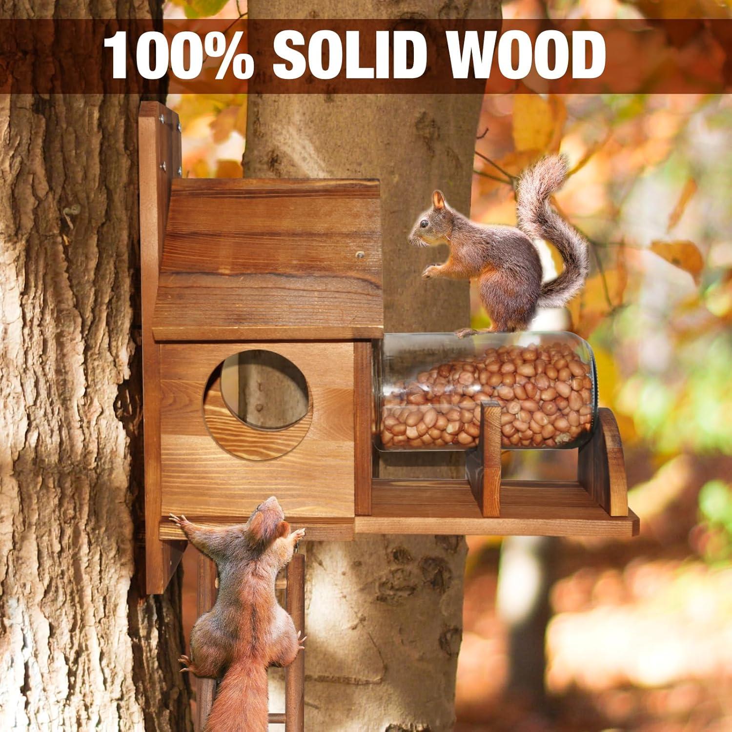 Comedero para Ardillas NB2GHYQJ con Escalera y Soporte para Maíz