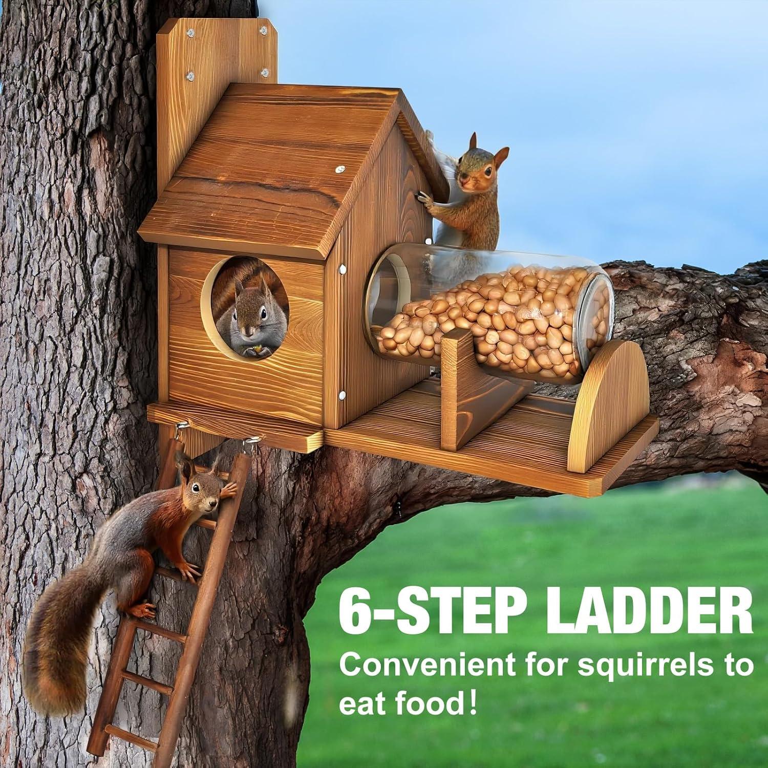 Comedero para Ardillas NB2GHYQJ con Escalera y Soporte para Maíz