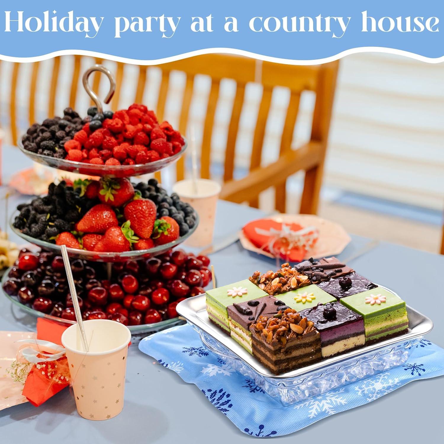 Set de 8 Piezas Mat de Hielo Reutilizable Meanplan 30 cm