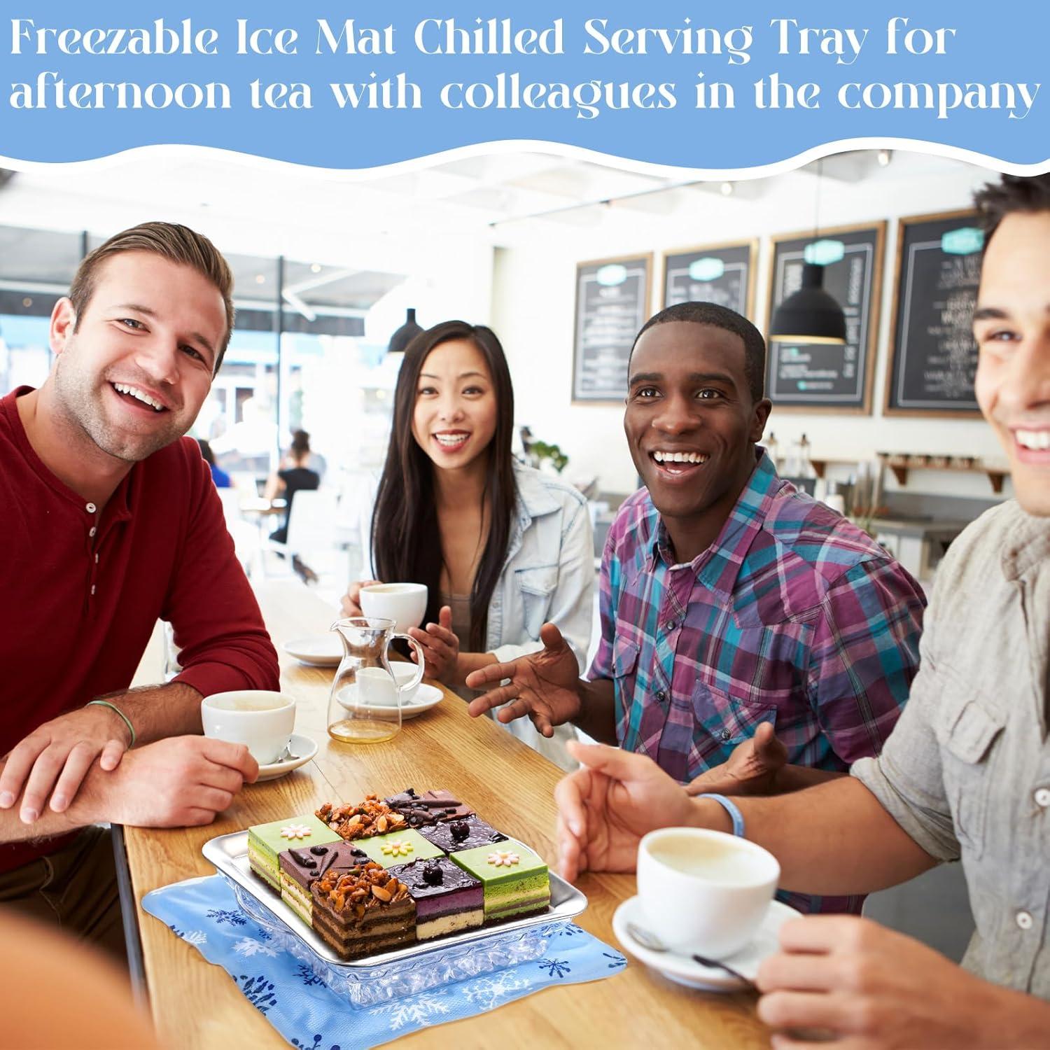 Set de 8 Piezas Mat de Hielo Reutilizable Meanplan 30 cm