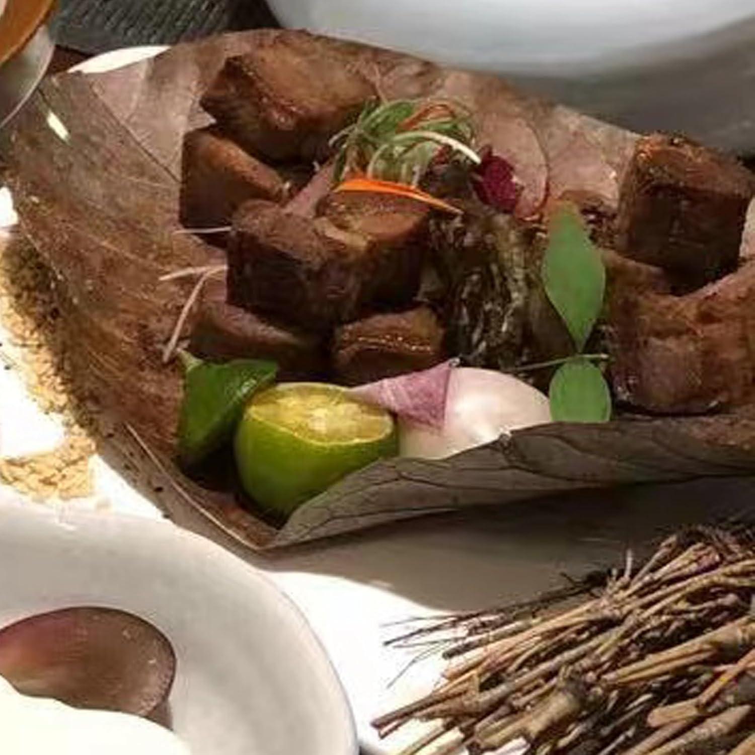 Plato de Sushi Ecológico Rainlily Wen Hoja Grande 40 Unidades