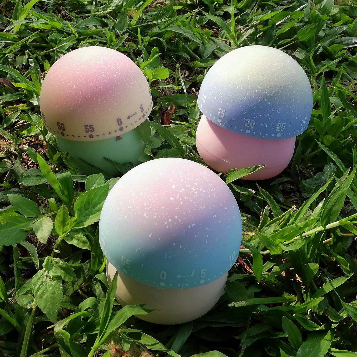 Temporizador Mecánico NUOSWEK Hongo Verde 60 Minutos