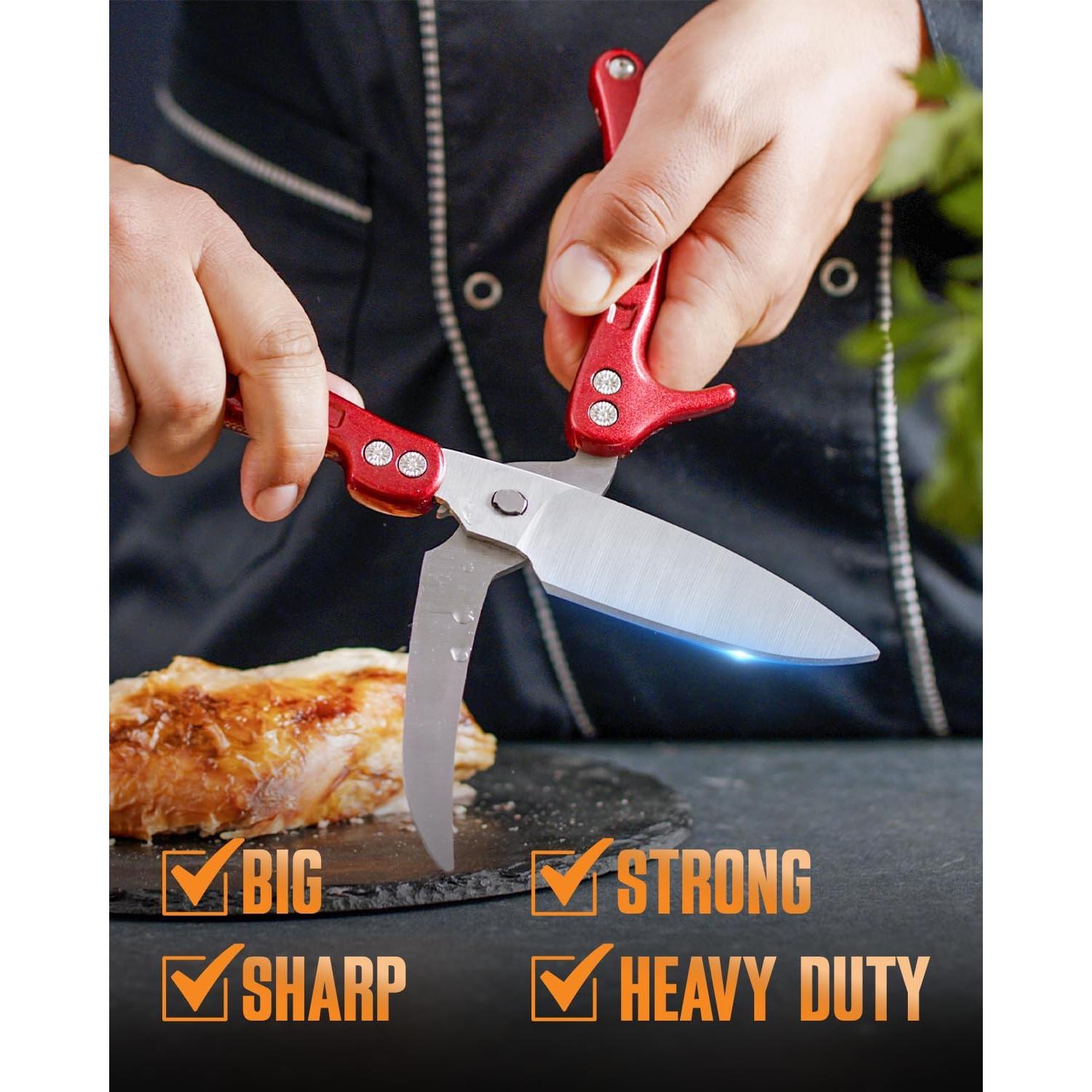 Tijeras de Aves de Corral Demzit 2024 - Acero Inoxidable, Antideslizantes