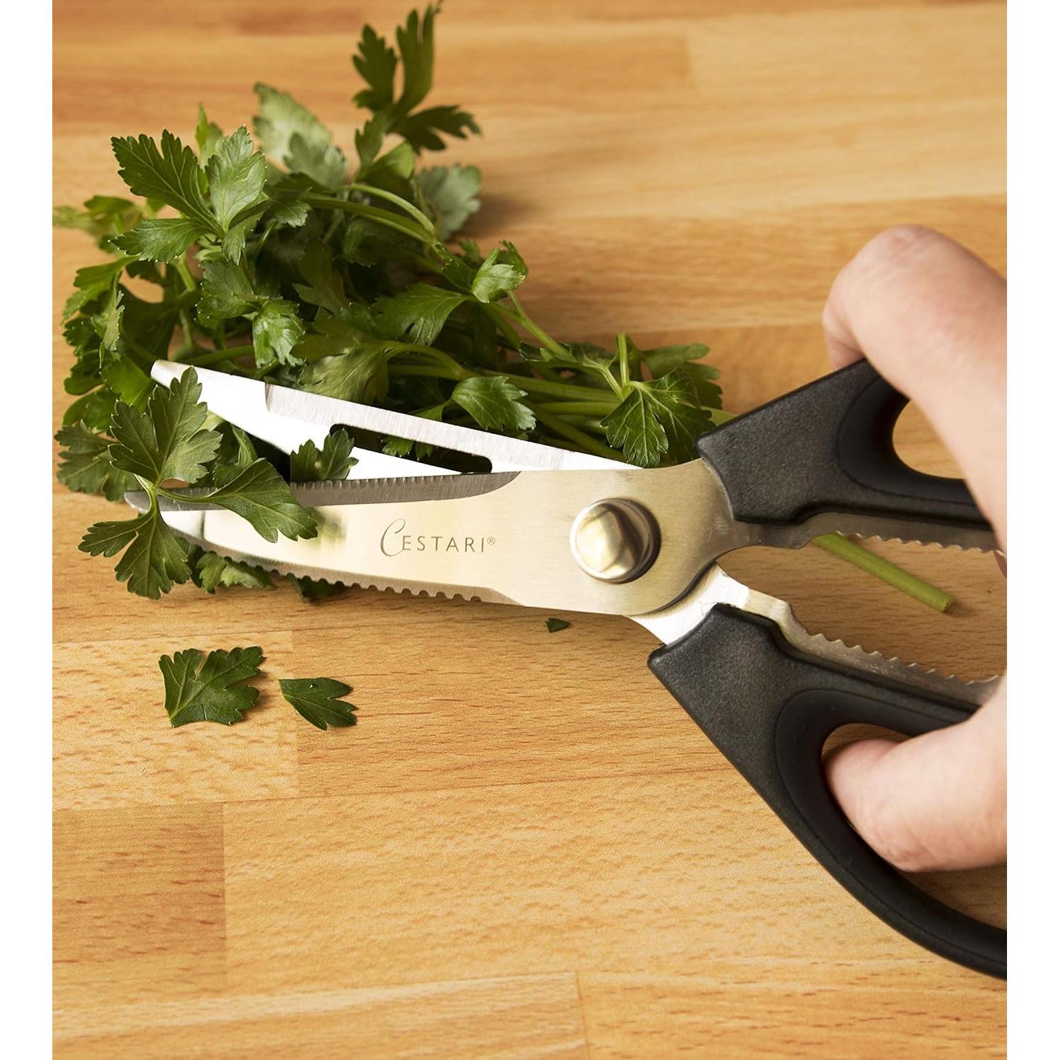 Tijeras de Cocina Cestari de Acero Inoxidable 385g Multifuncionales