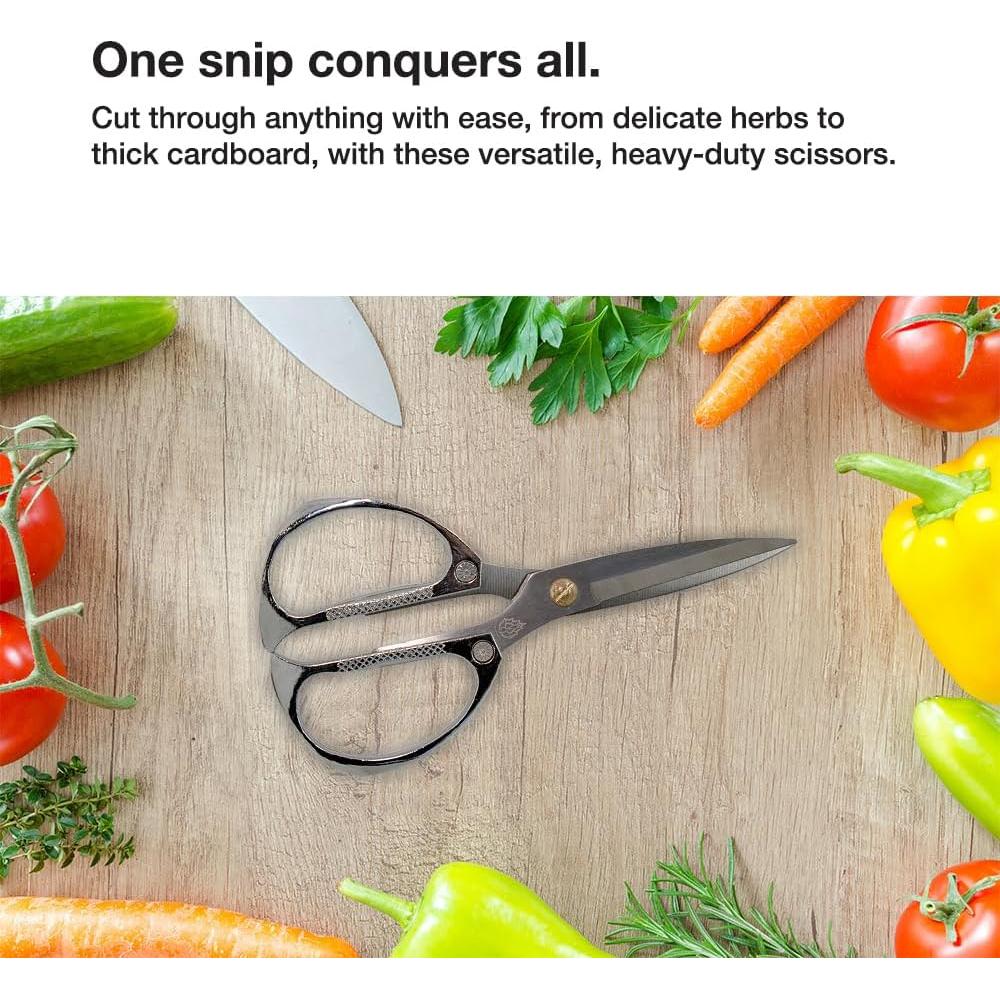 Tijeras de Cocina Multiusos DRAGONFRUITEE 19 cm Acero Inoxidable