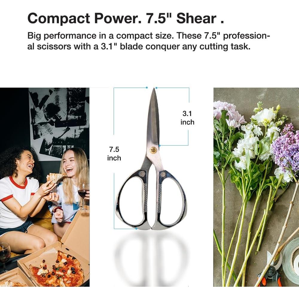 Tijeras de Cocina Multiusos DRAGONFRUITEE 19 cm Acero Inoxidable