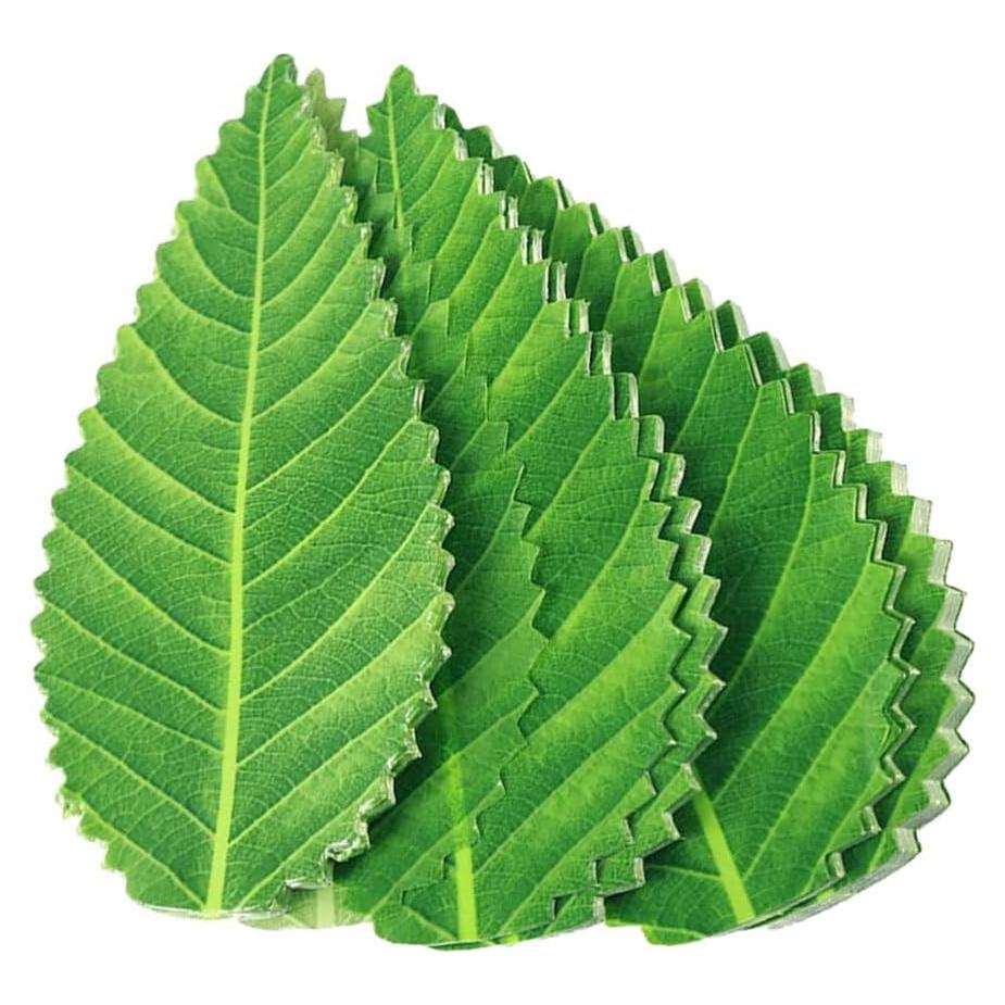 Hojas Decorativas para Sushi Kichvoe - 200 Piezas Verde