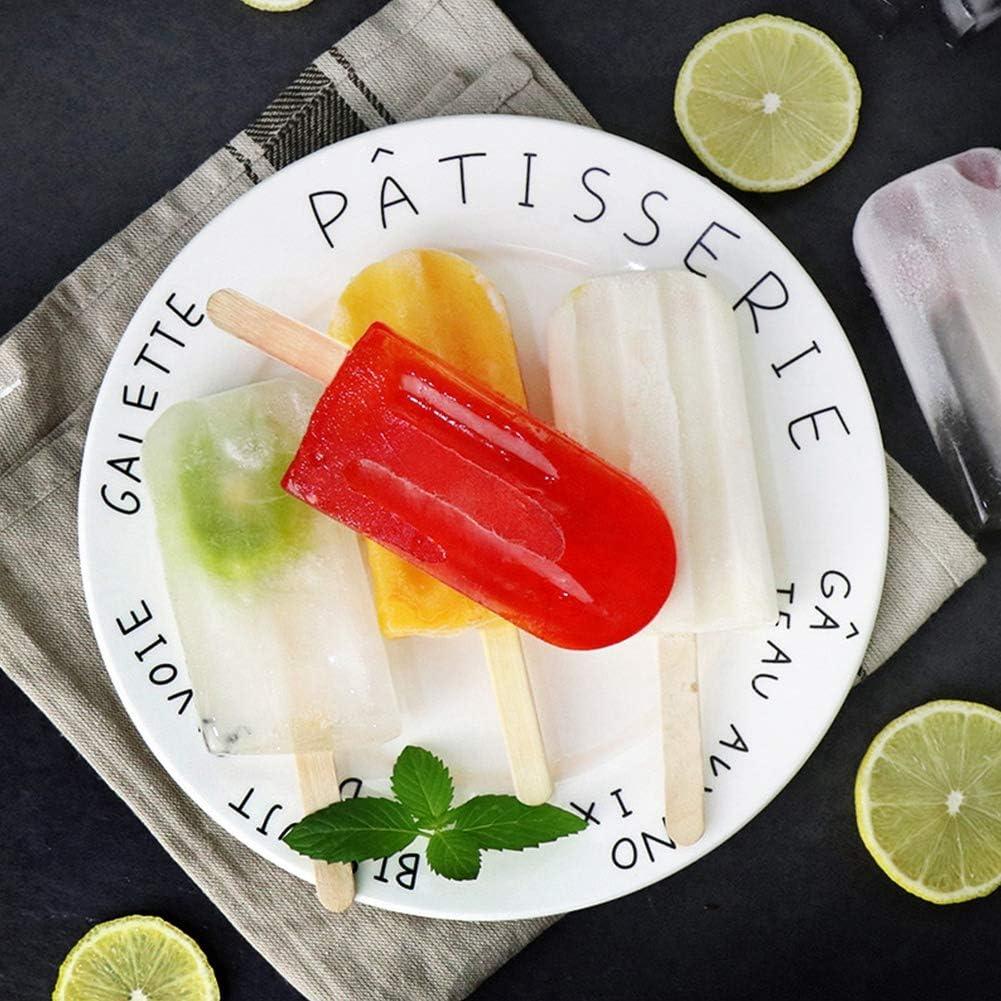 Moldes de Paletas de Acero Inoxidable HAOHIZE 6 Pcs con Soporte