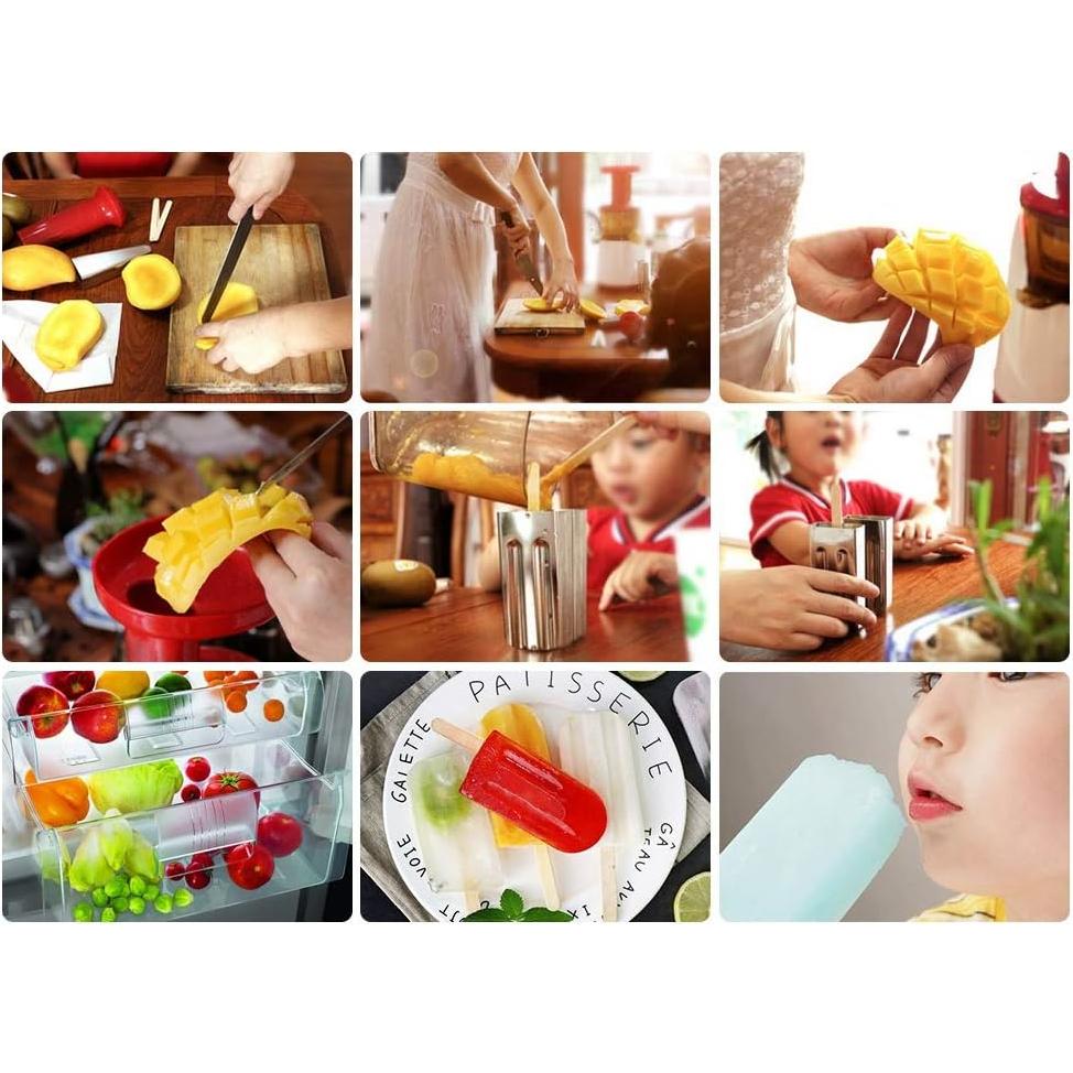 Moldes de Paletas de Acero Inoxidable HAOHIZE 6 Pcs con Soporte