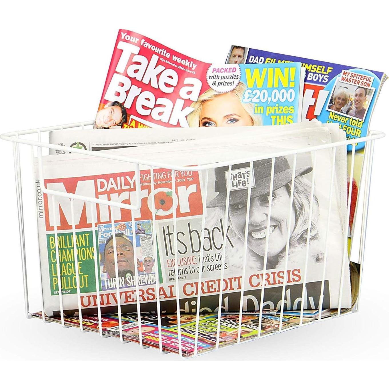 Cestas de Almacenamiento SANNO de Alambre - Juego de 2