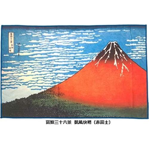 Toalla de Microfibra Lavable TORAYSEE 19x19cm Japón