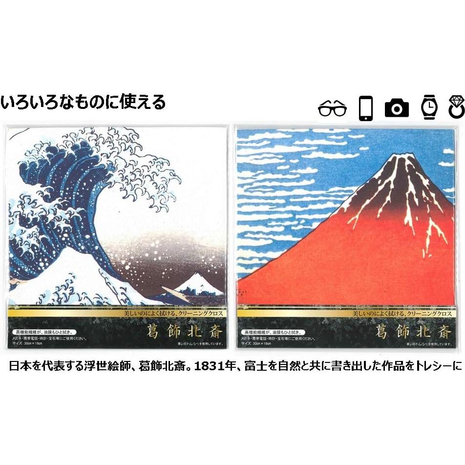 Toalla de Microfibra Lavable TORAYSEE 19x19cm Japón