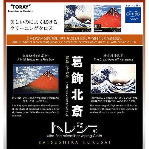 Toalla de Microfibra Lavable TORAYSEE 19x19cm Japón