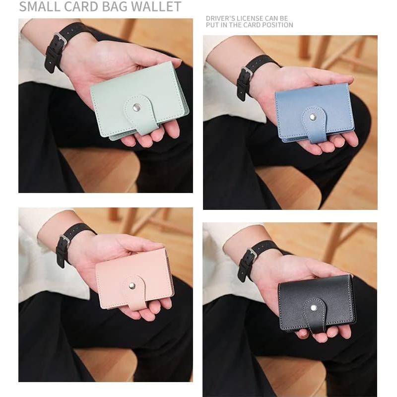 Titular de Tarjetas de Crédito Rosa Pluzmecalm con 26 Organizadores