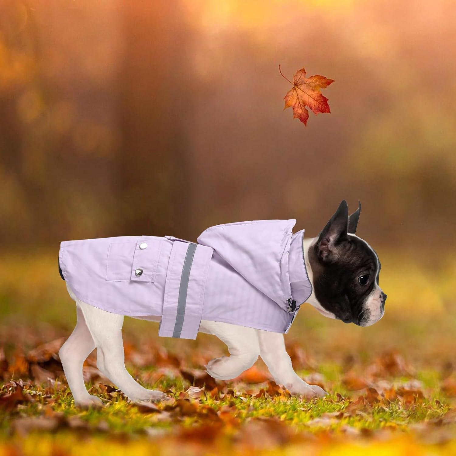 Impermeable para Perros Morezi Chaqueta Lluvia Pequeña Púrpura