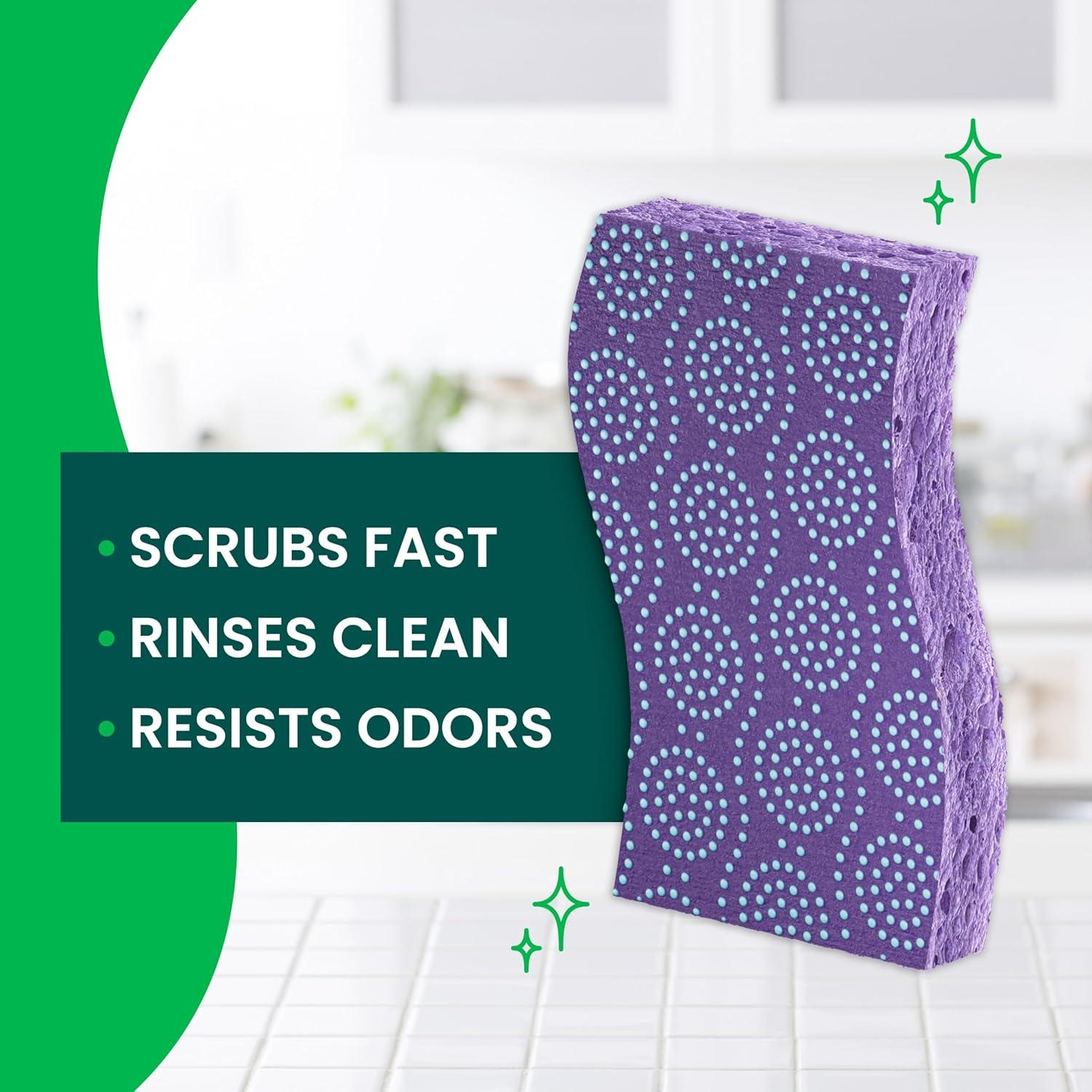 Esponjas de Cocina Scotch-Brite Resist Odor - 6 Unidades