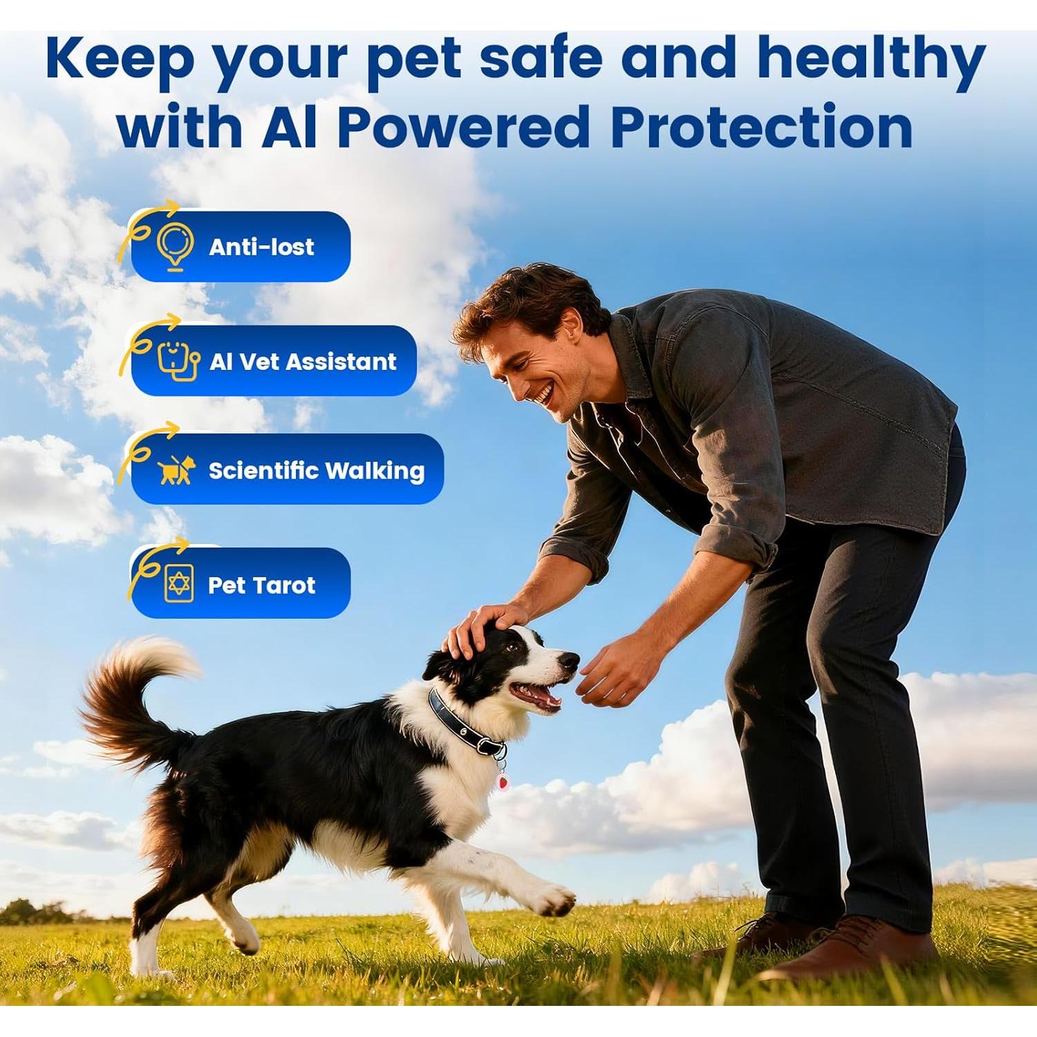 Etiqueta QR Inteligente PawView para Mascotas - Protección y Salud
