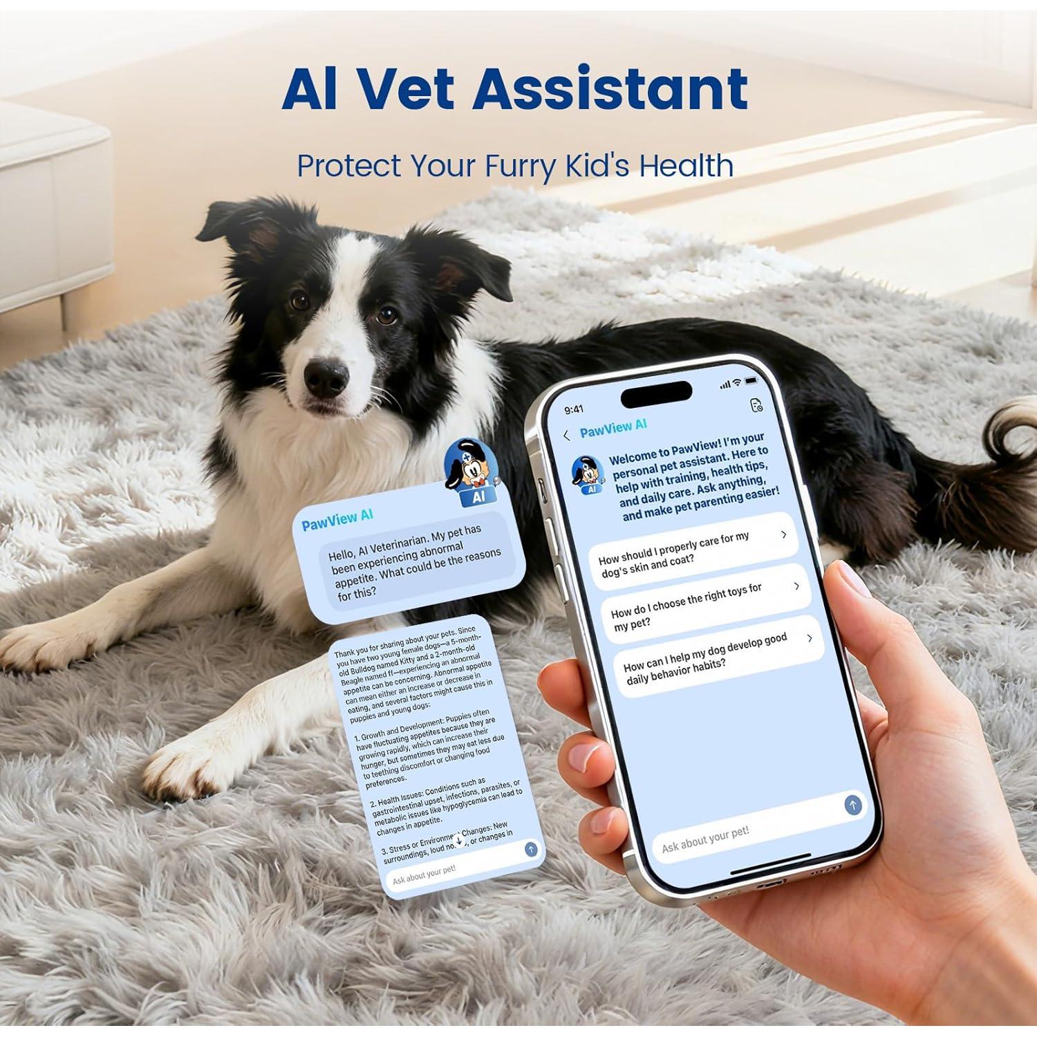 Etiqueta QR Inteligente PawView para Mascotas - Protección y Salud