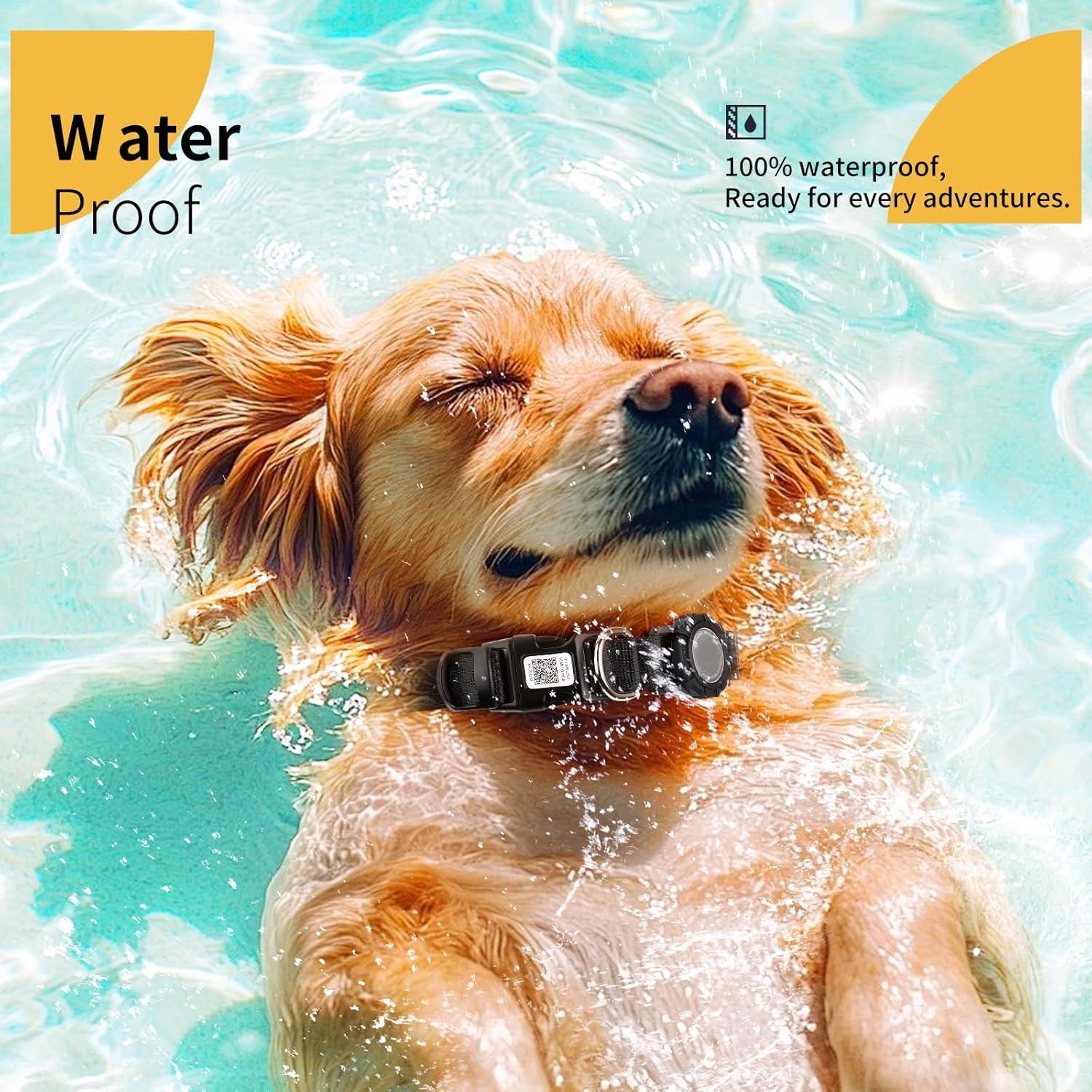 Collar para Perros Pepisk M Azul con Luz LED y Código QR