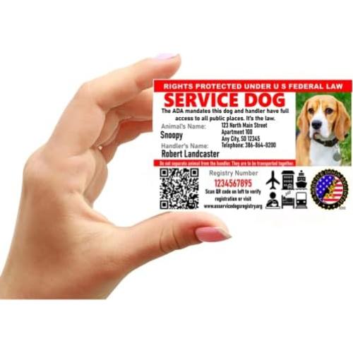 Tarjeta de Identificación Personalizada Just 4 Paws para Perros de Servicio