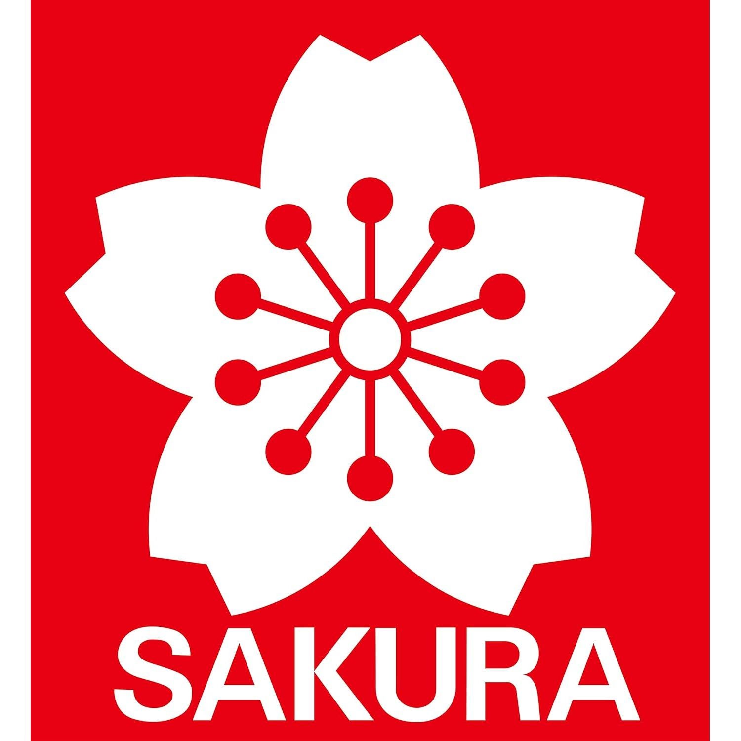 Pluma Fineliner Sakura Pigma Micron 0.45mm Negro - Paquete de 2