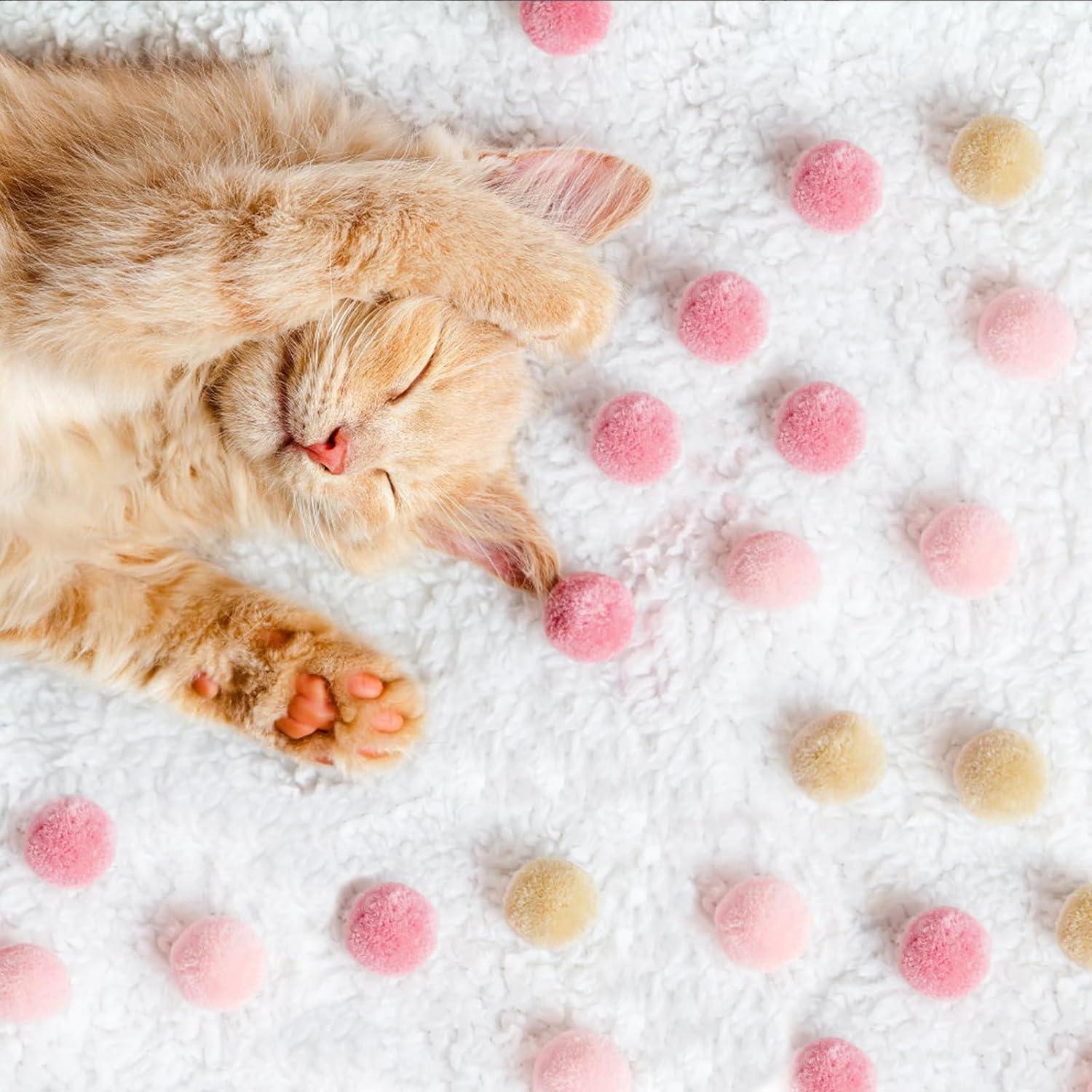 Juego de Herramientas para Pompoms CHELIZIYA 4 Tamaños con Tijeras